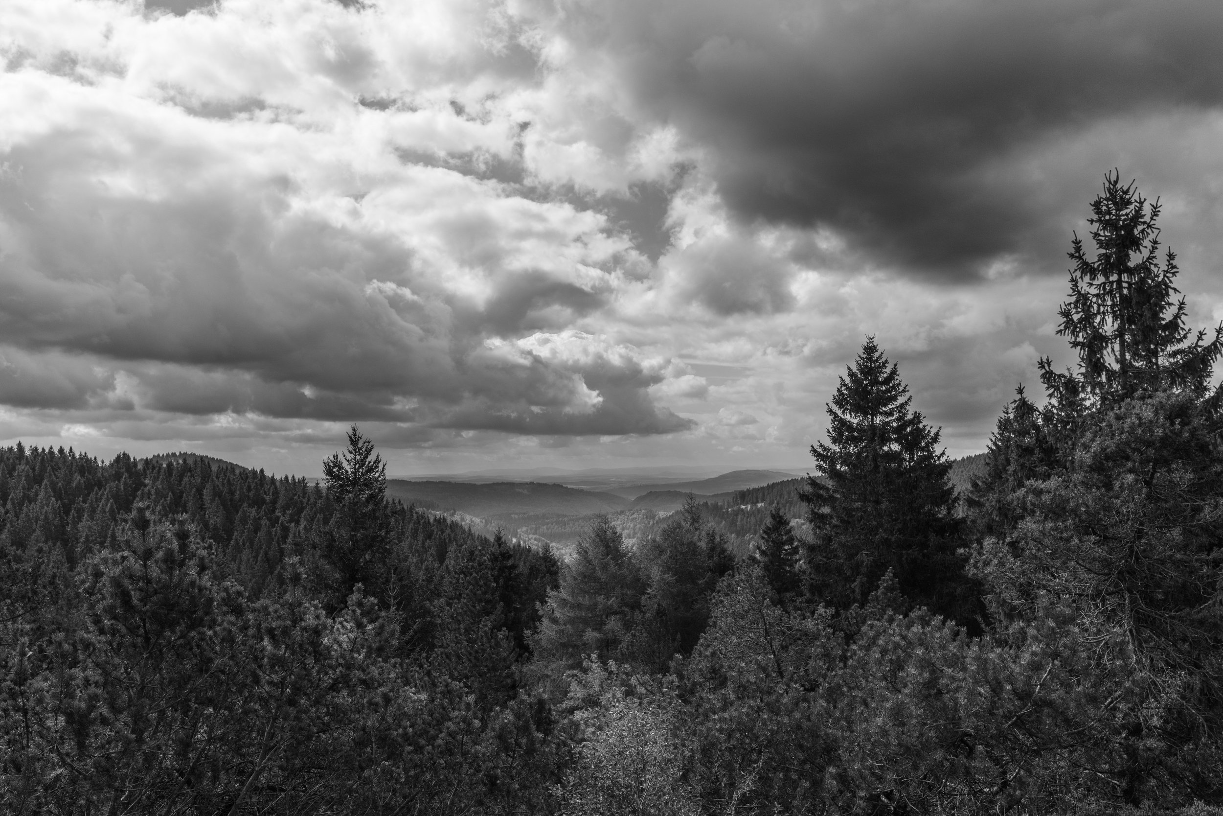 R0000453.jpg