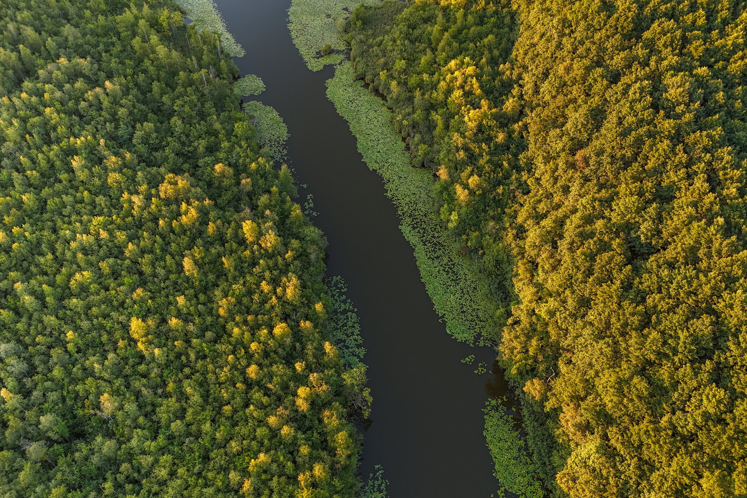 DJI_20260824195720_0158_D.jpg