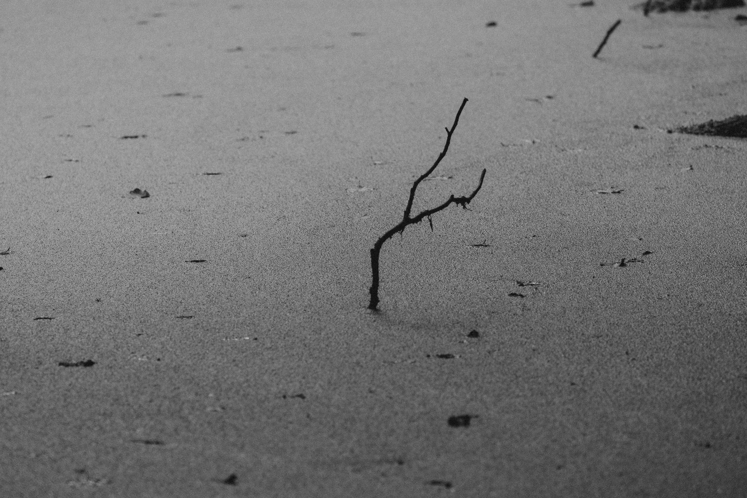 CR5_2906_BW.jpg