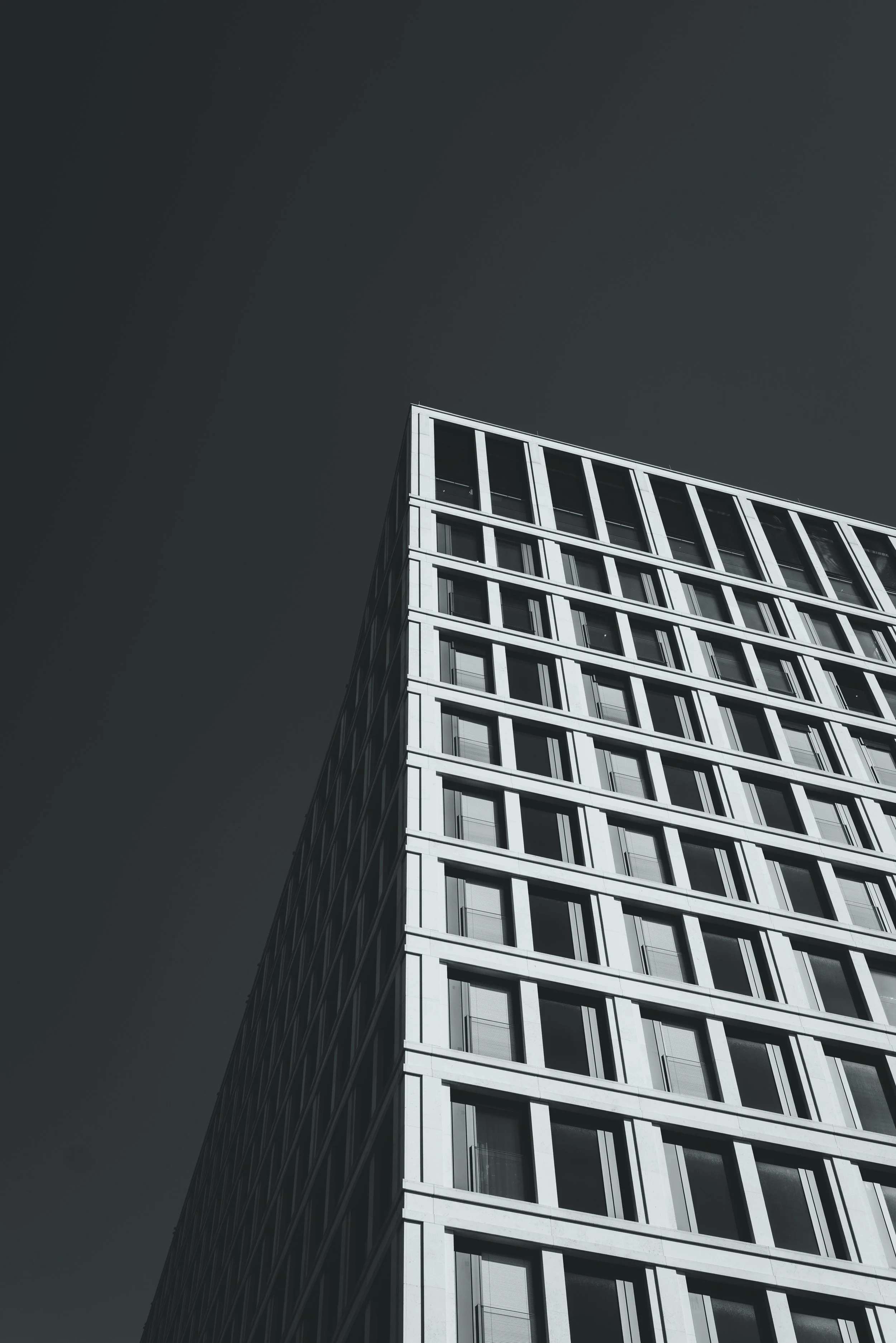 L1010302.jpg