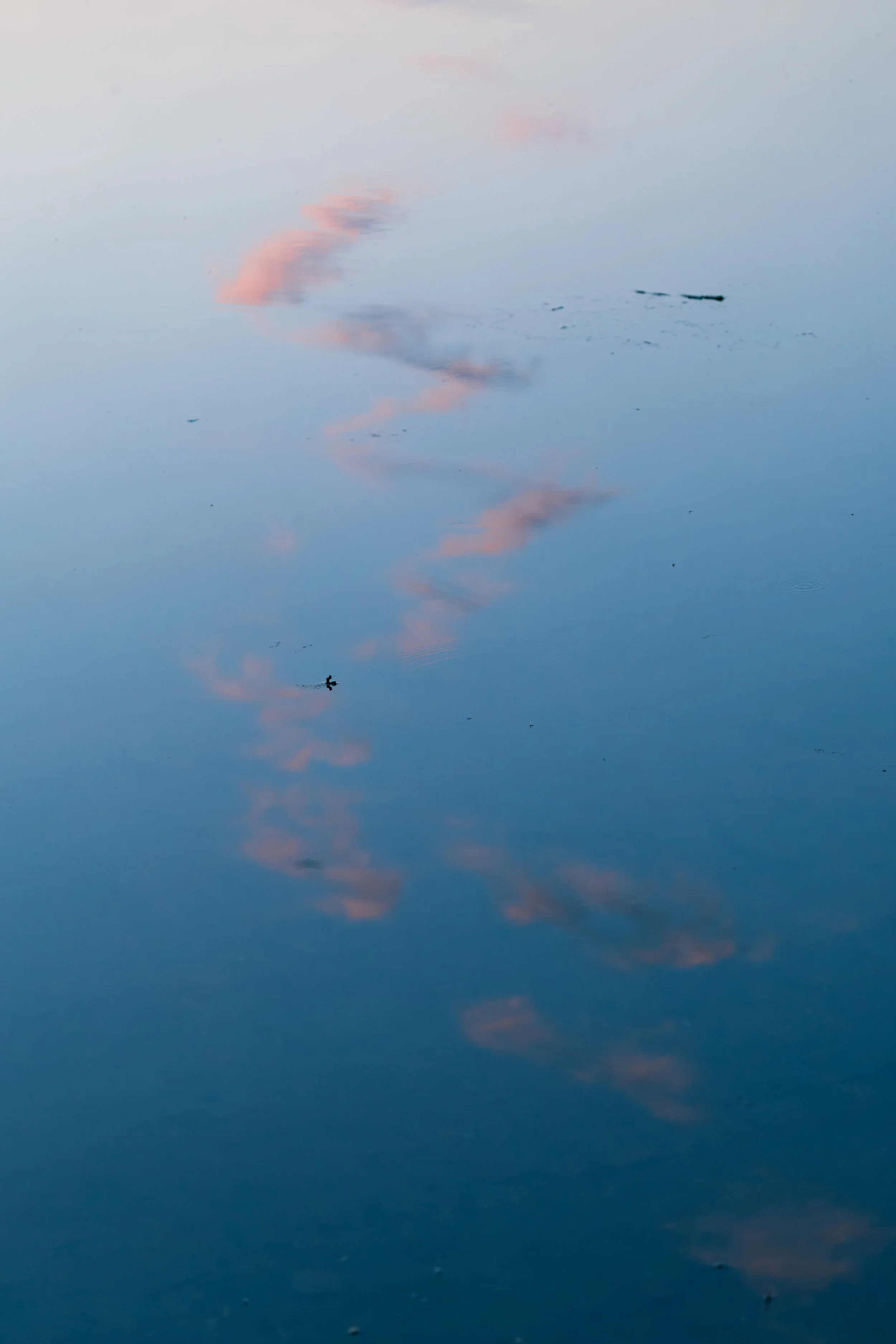 CR5_9981.jpg