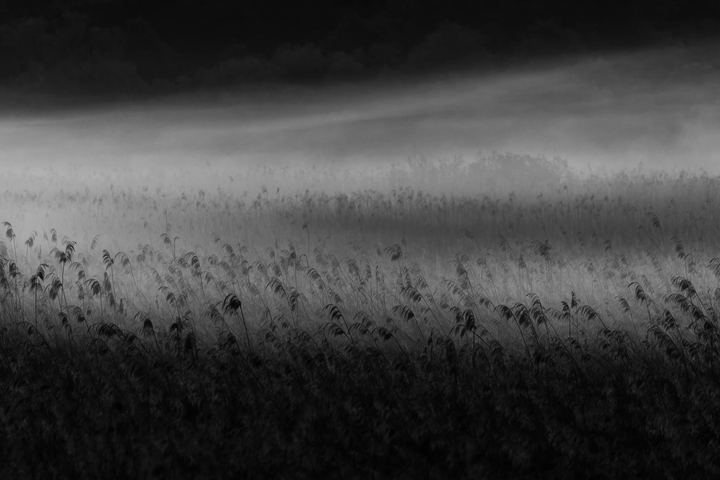 CR5_9866.jpg