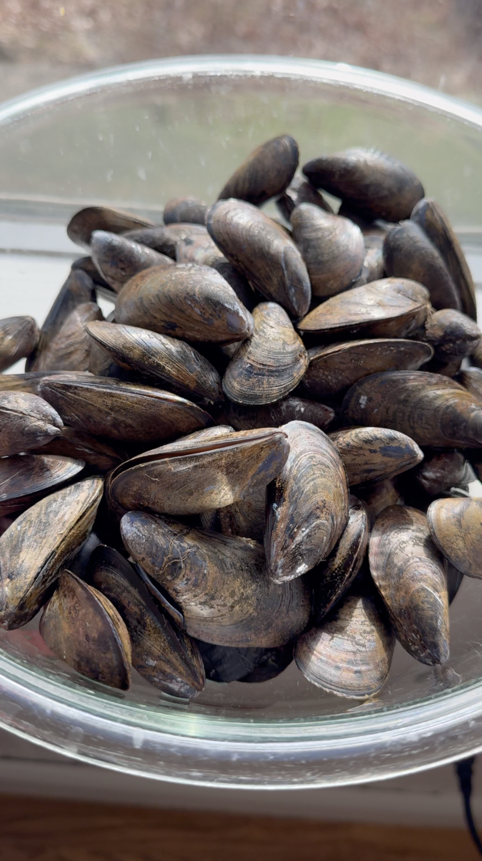 Screenshot 2025-12-22 at 1.52.58 PM.png