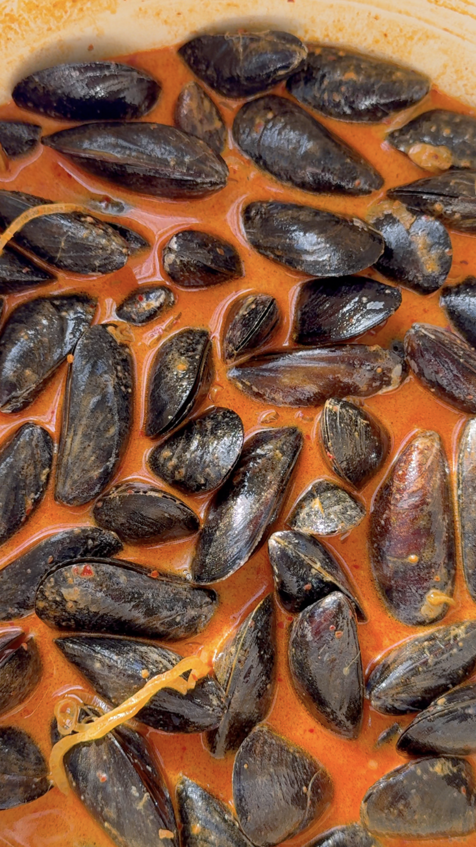 Screenshot 2025-12-22 at 1.55.19 PM.png