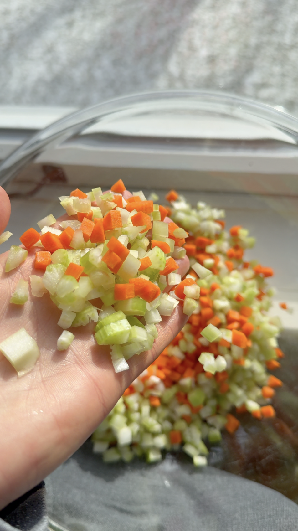 Screenshot 2026-01-03 at 11.23.36 AM.png