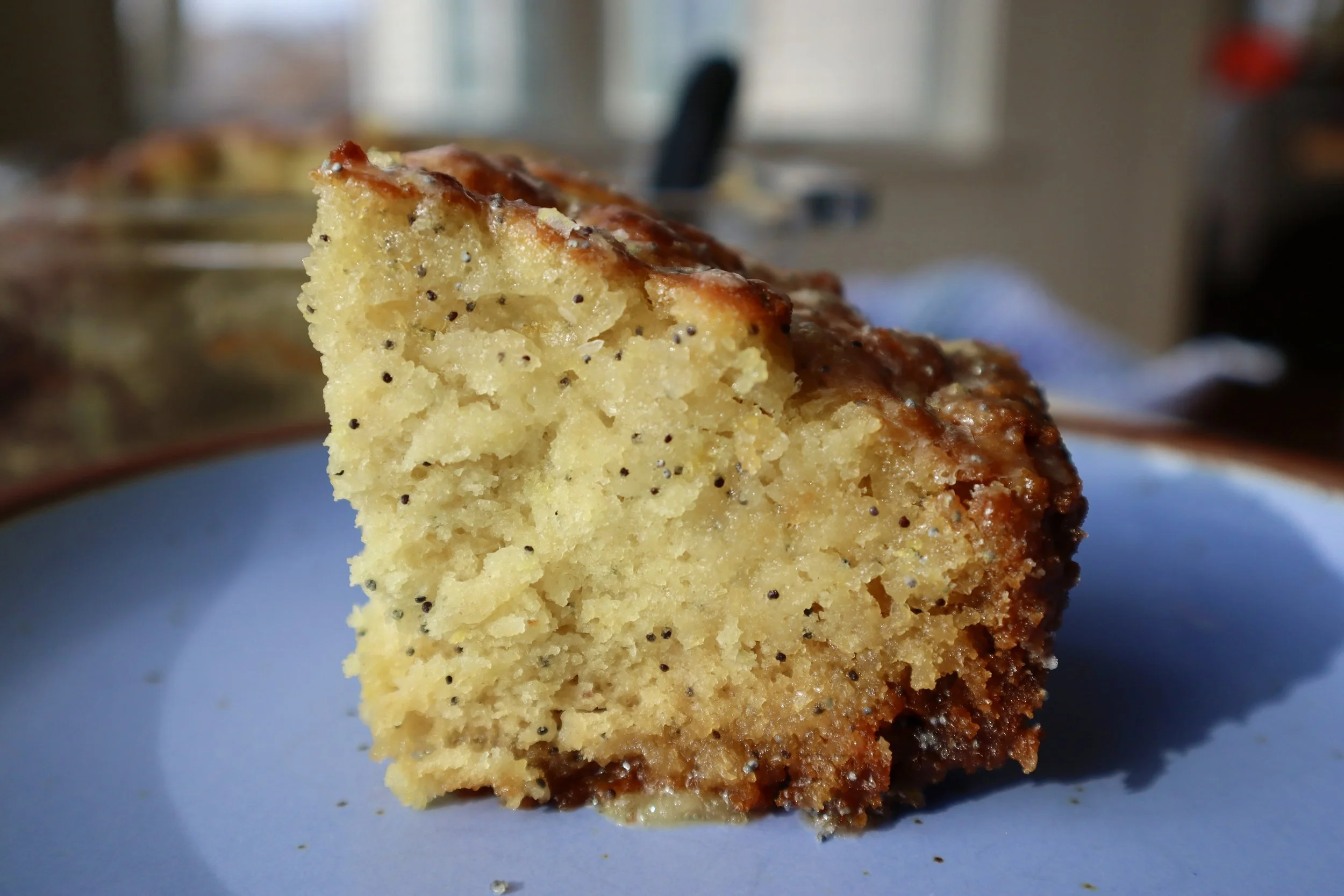 Lemon Poppyseed Butter Swim Biscuits
