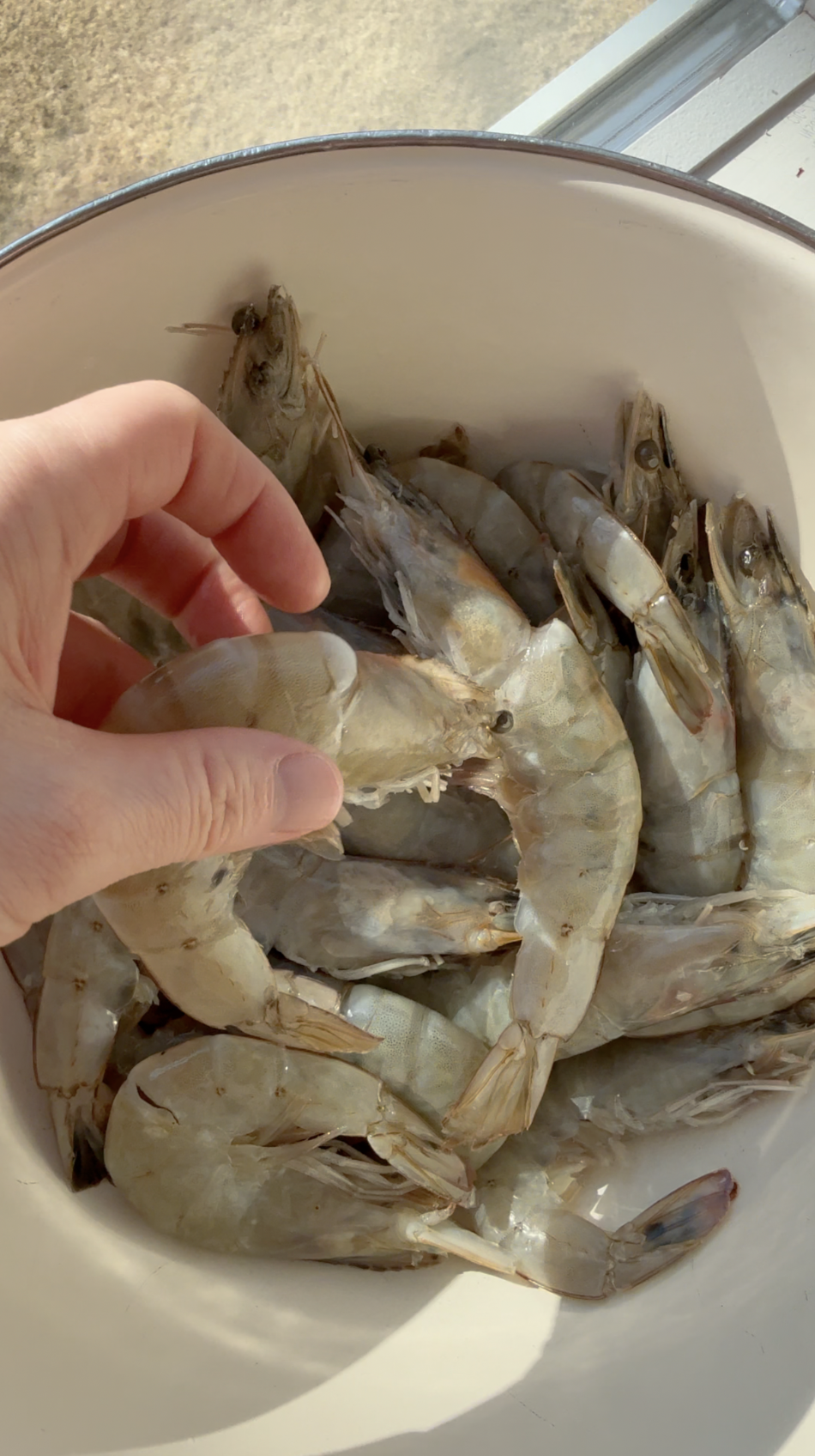 Screenshot 2026-02-16 at 5.07.43 PM.png