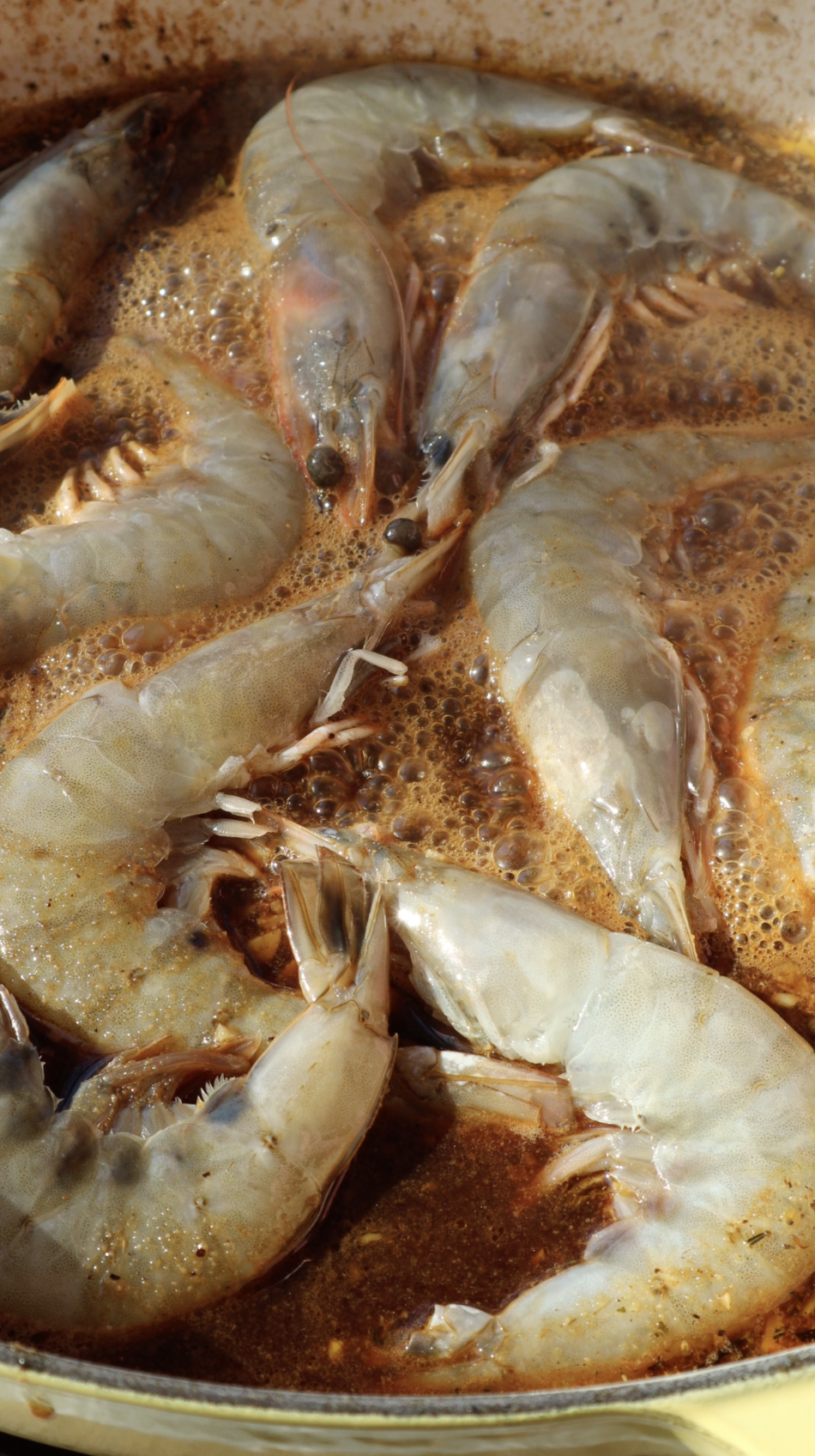 Screenshot 2026-02-16 at 5.08.05 PM.png