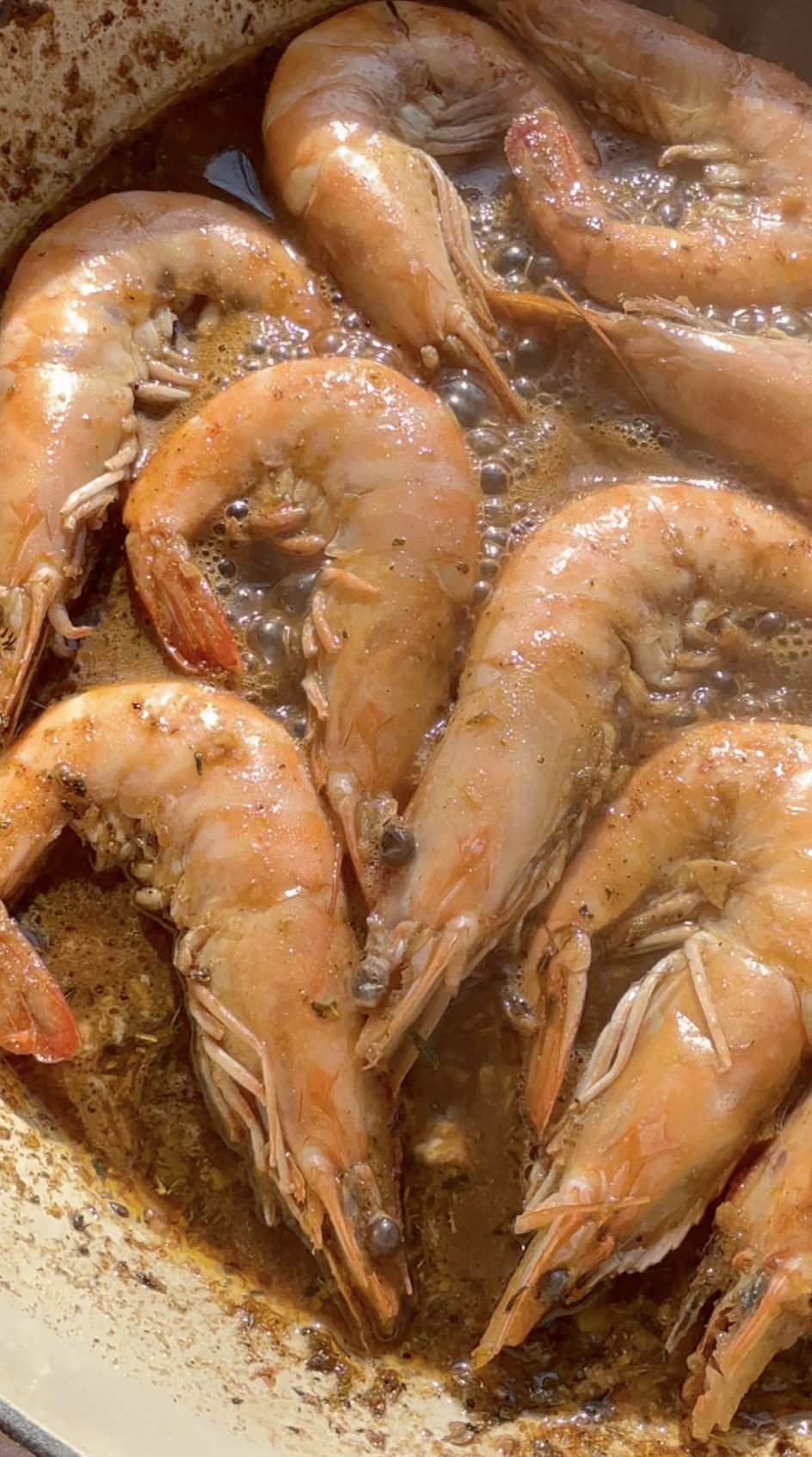 Screenshot 2026-02-16 at 5.08.24 PM.png