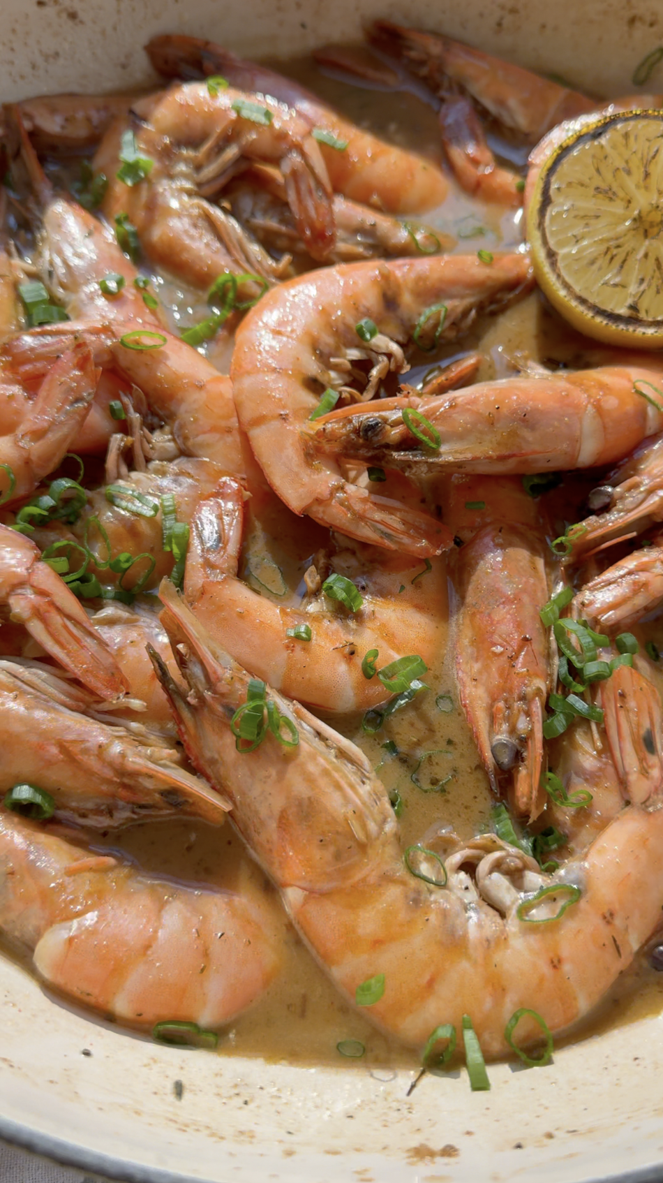 Screenshot 2026-02-16 at 5.09.06 PM.png