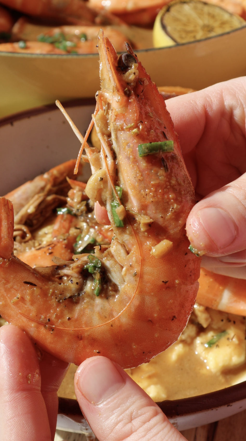 Screenshot 2026-02-16 at 5.09.58 PM.png