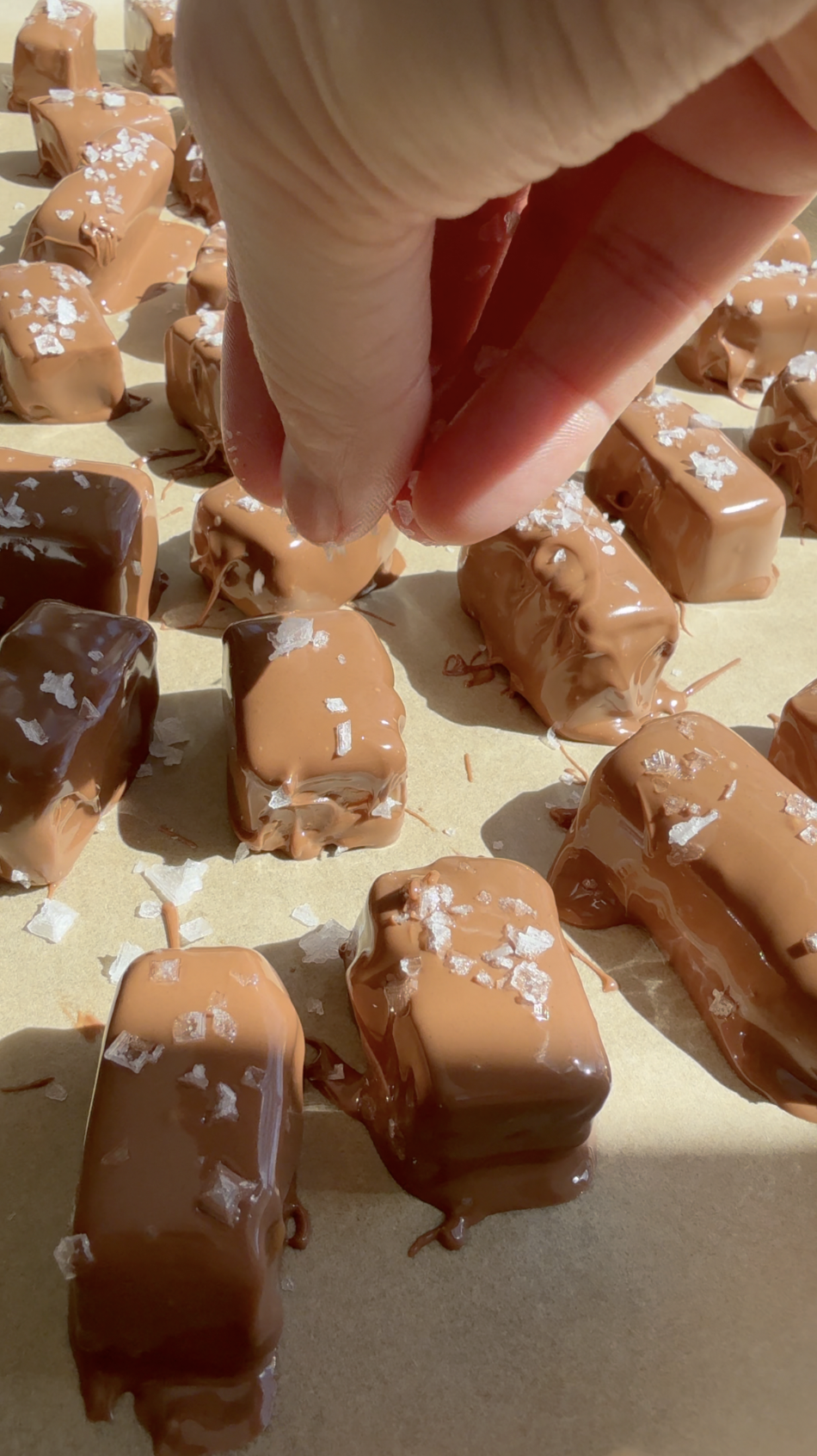 Screenshot 2026-03-24 at 7.00.45 PM.png