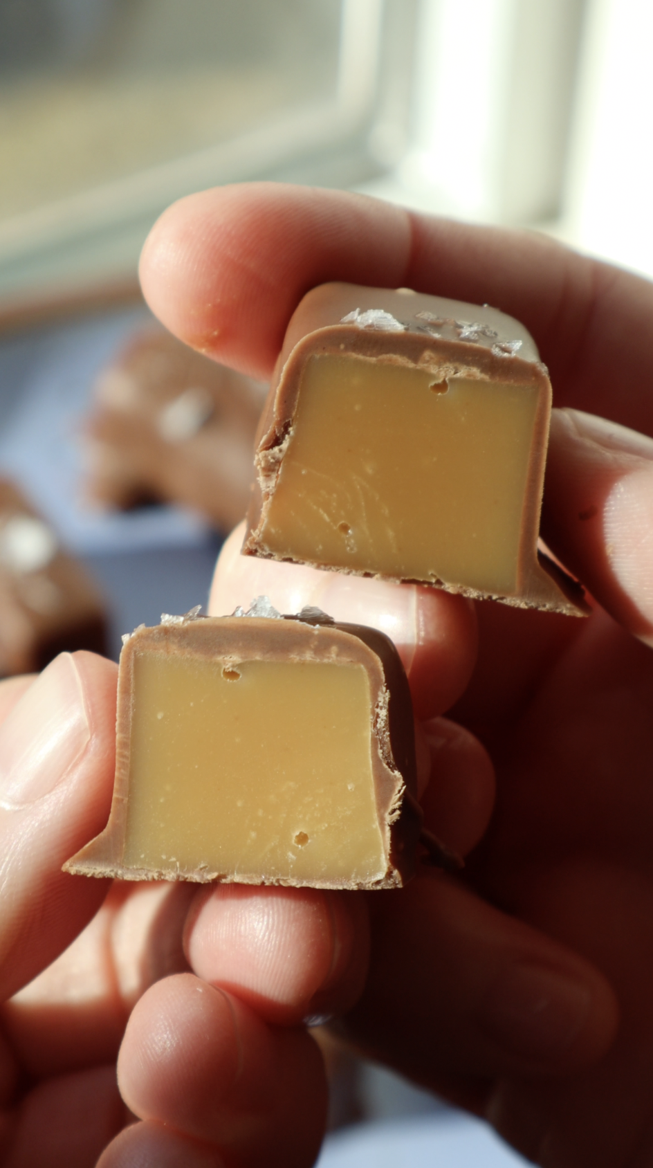 Screenshot 2026-03-24 at 7.01.36 PM.png