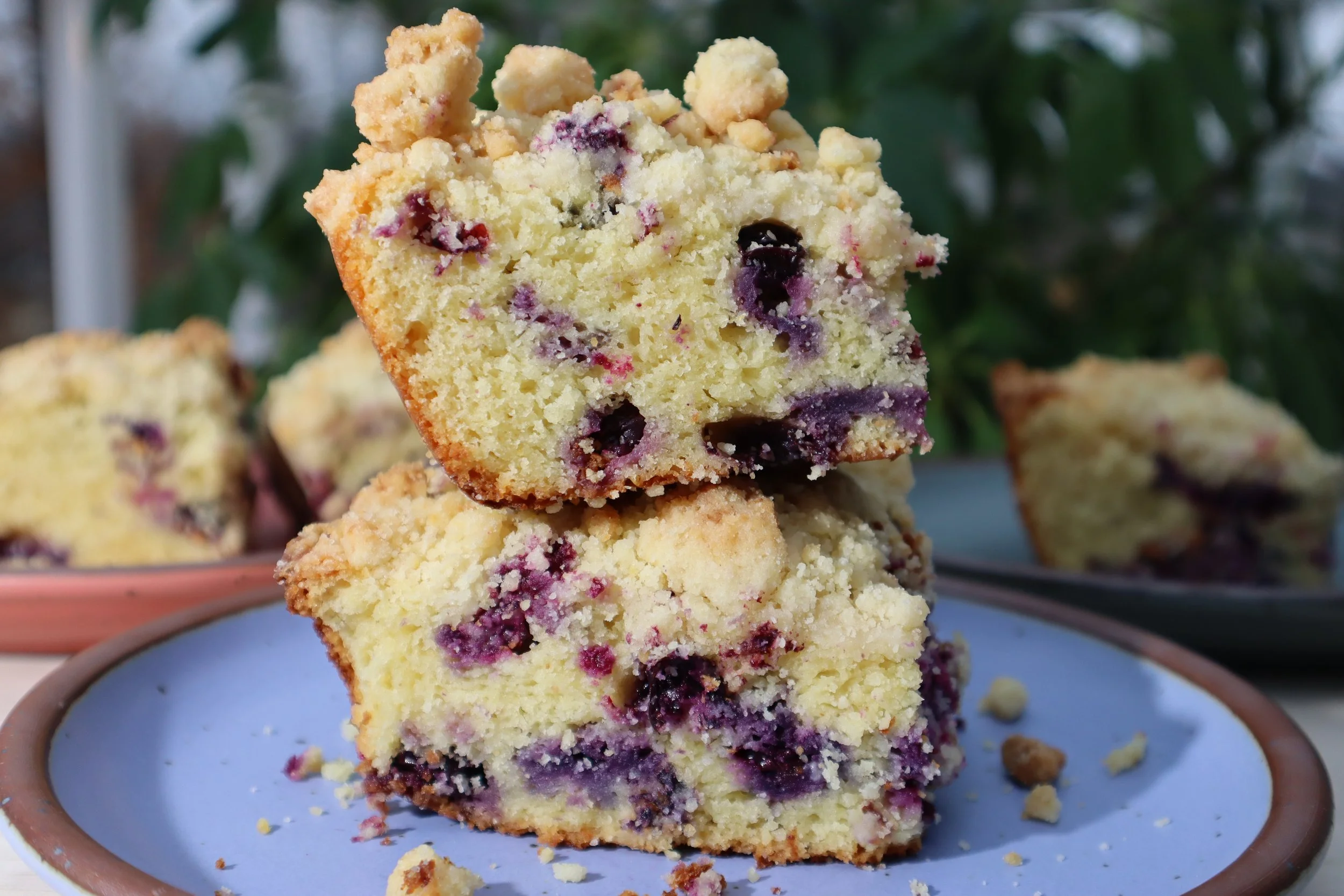 Blueberry Coffee Cake with Crumb Topping