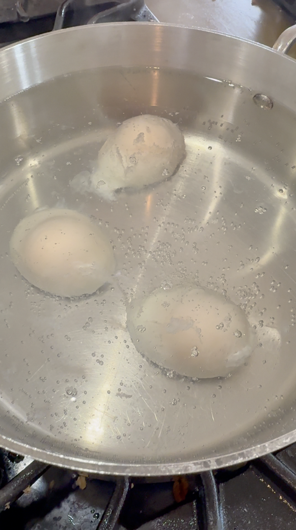 Screenshot 2026-04-03 at 2.59.20 PM.png