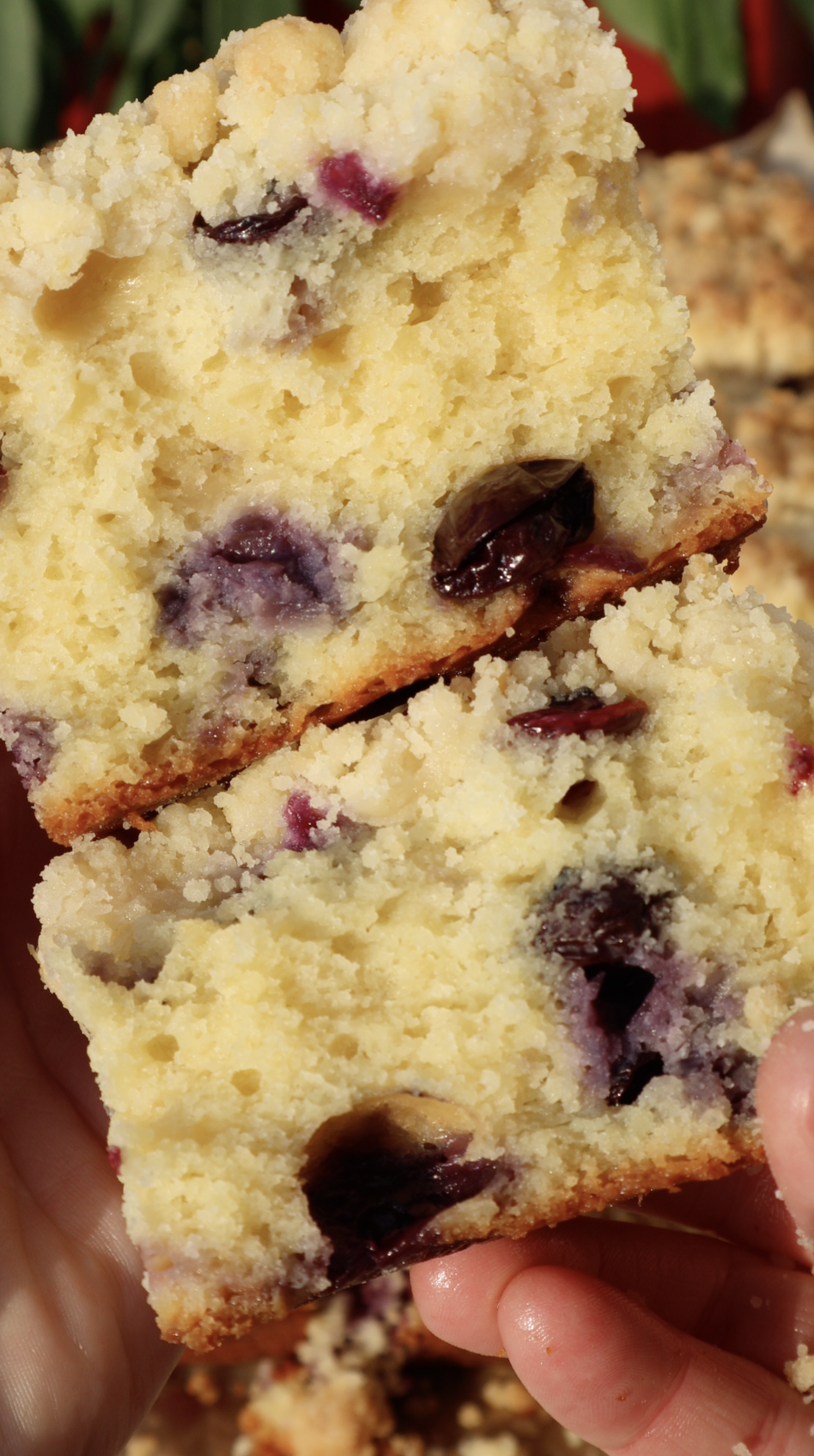 Screenshot 2026-04-04 at 6.17.33 PM.png