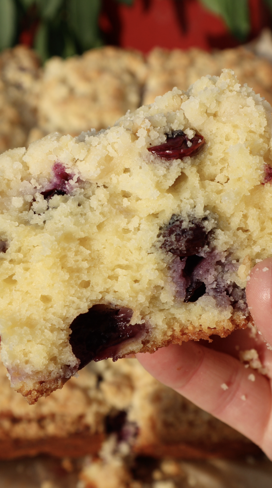 Screenshot 2026-04-04 at 6.17.45 PM.png