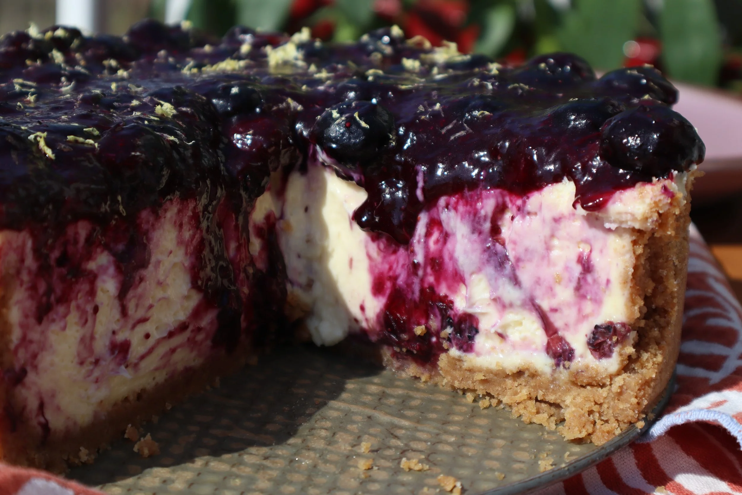 Blueberry Cheesecake