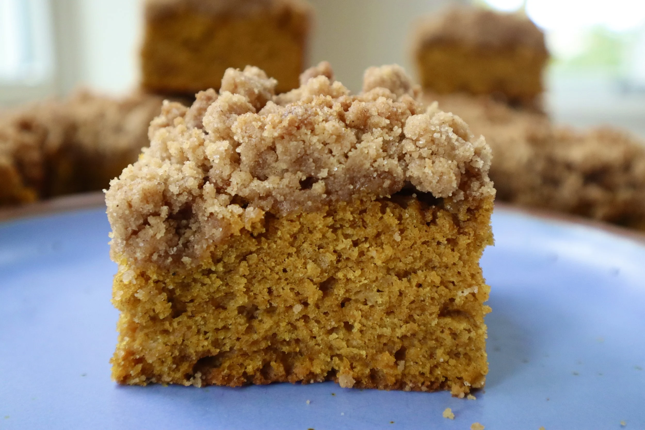 Pumpkin Coffee Cake with a Crumb Topping