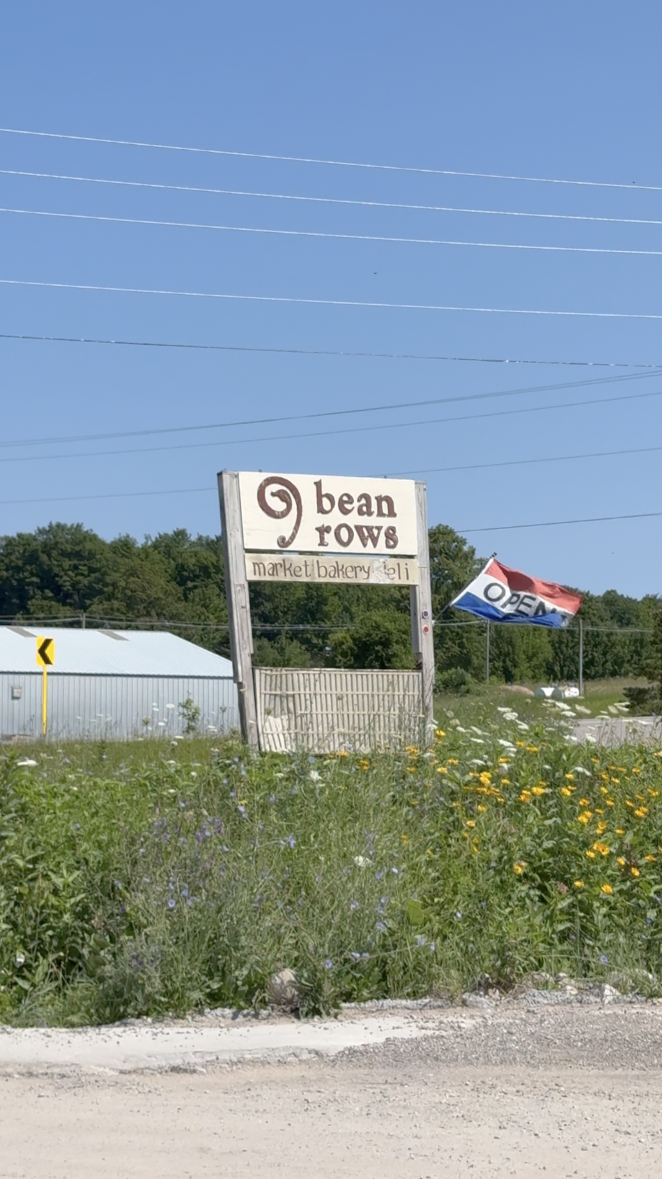 9 bean rows Suttons Bay, MI