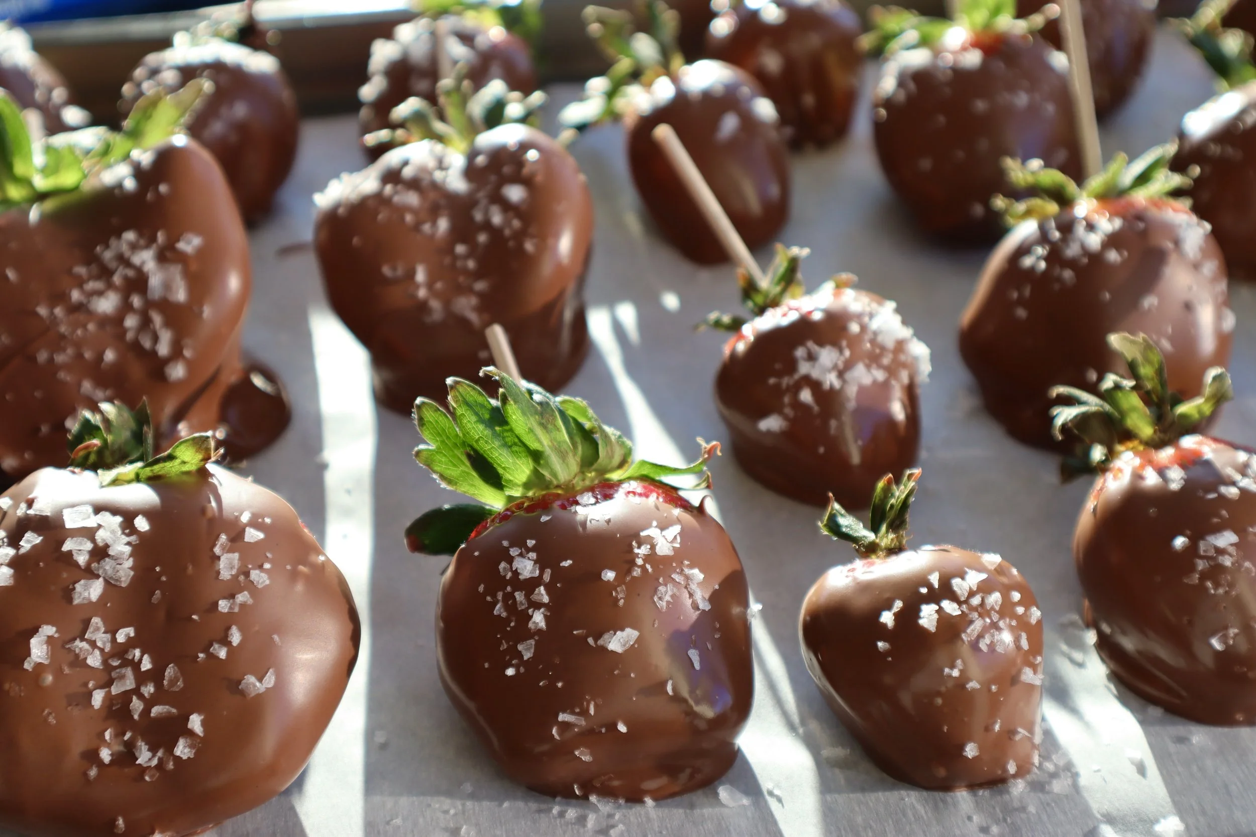 Luxurious Chocolate Covered Strawberries with Maldon Salt