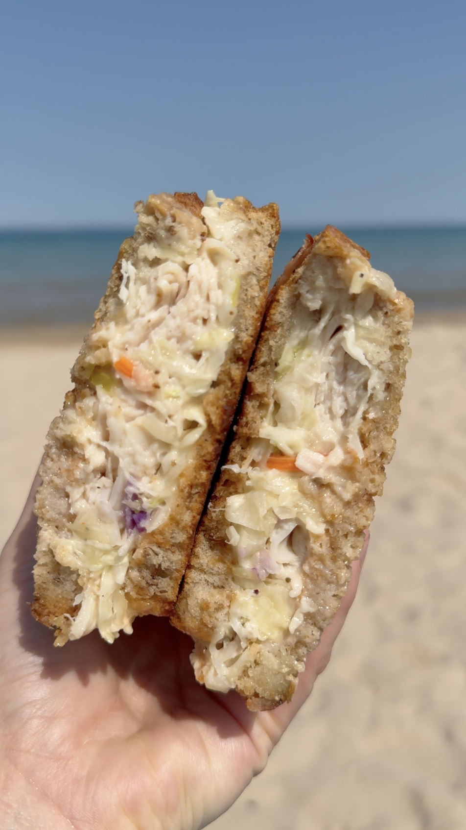 Rachel Sandwich Fogarellis Traverse City Michigan