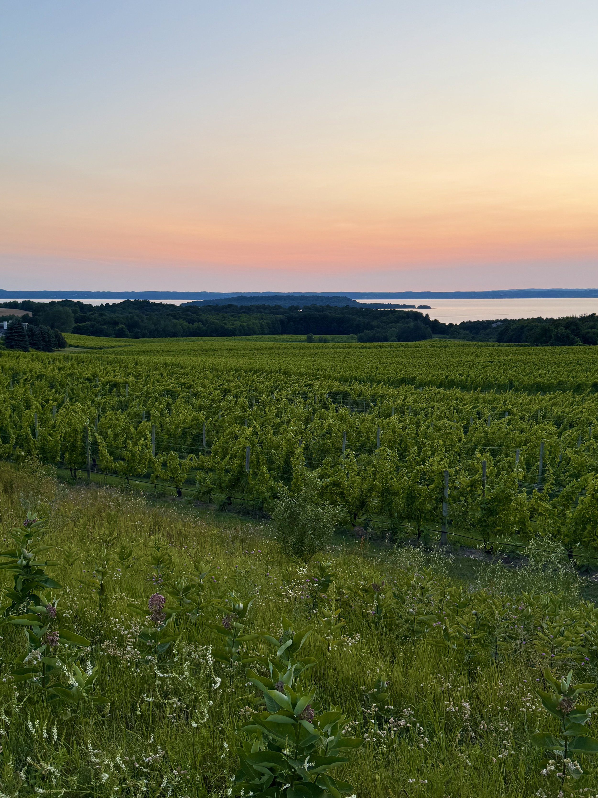 Old Mission Peninsula Traverse City Mi
