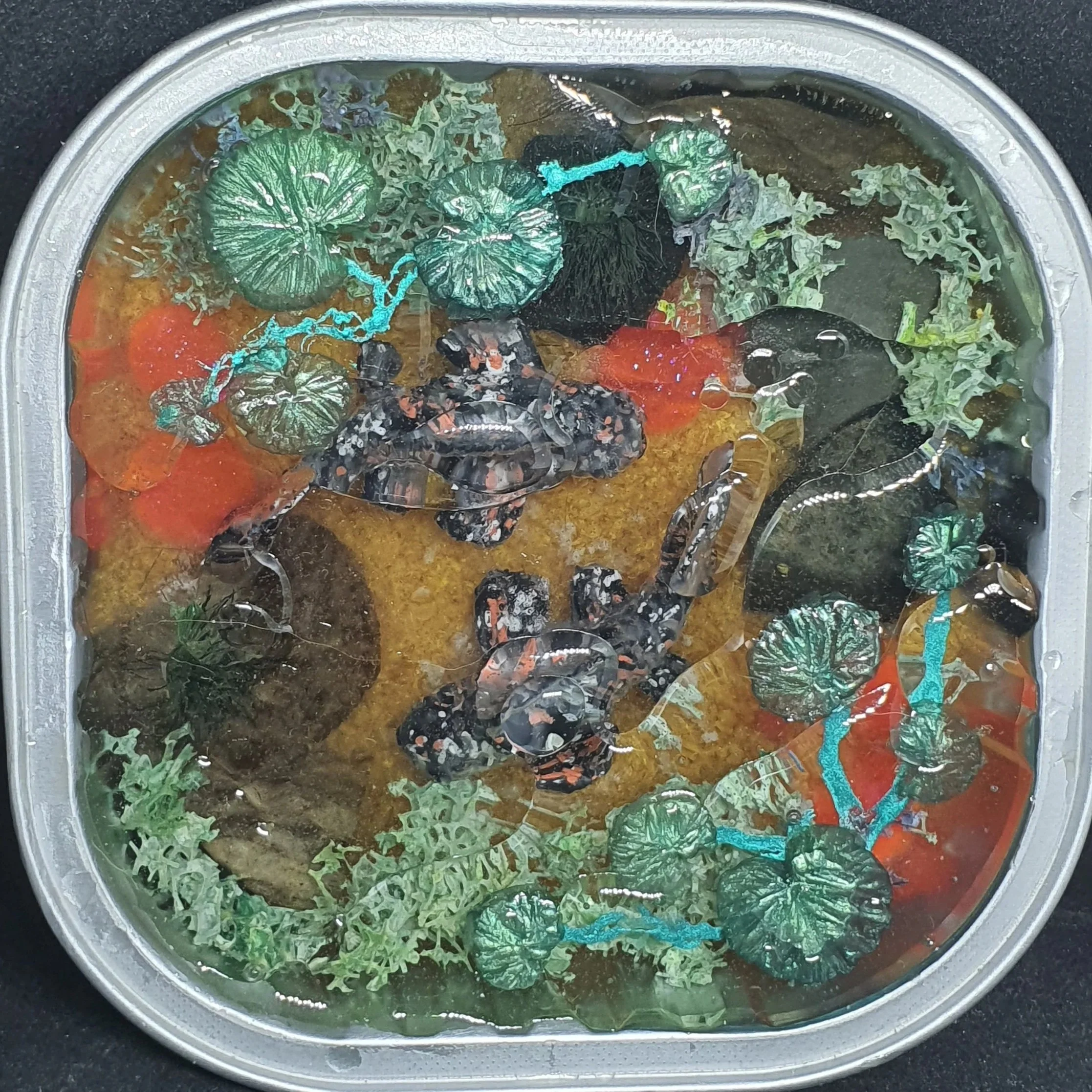 a tiny koi fish pond featuring two black koi fish swimming in an underwater scene featuring rocks, sand, glowing 'stars' and foliage.