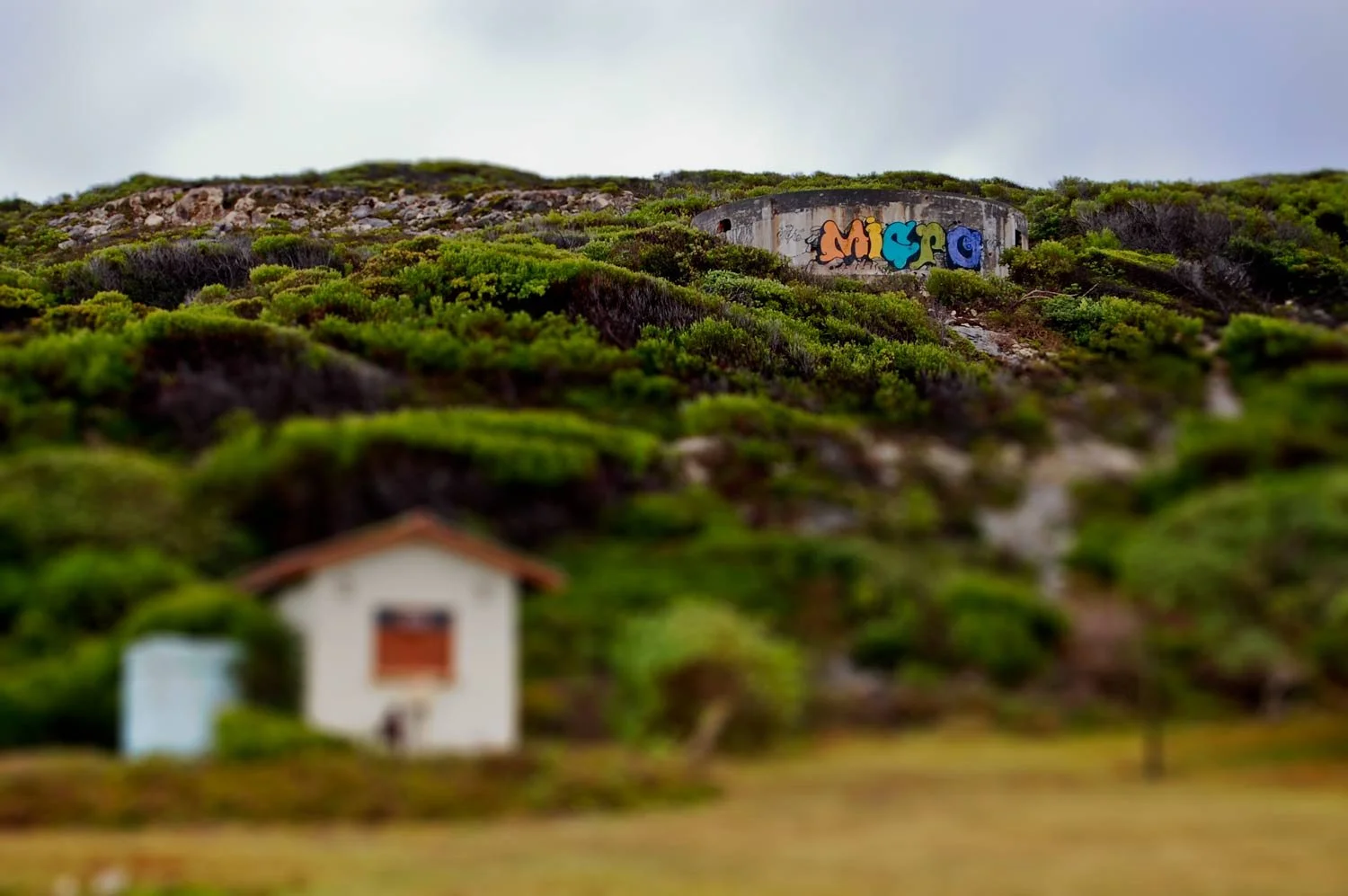 A hillside with green shrubs and rocks, featuring a graffiti-covered tunnel at the top and a small house with a red roof at the bottom.