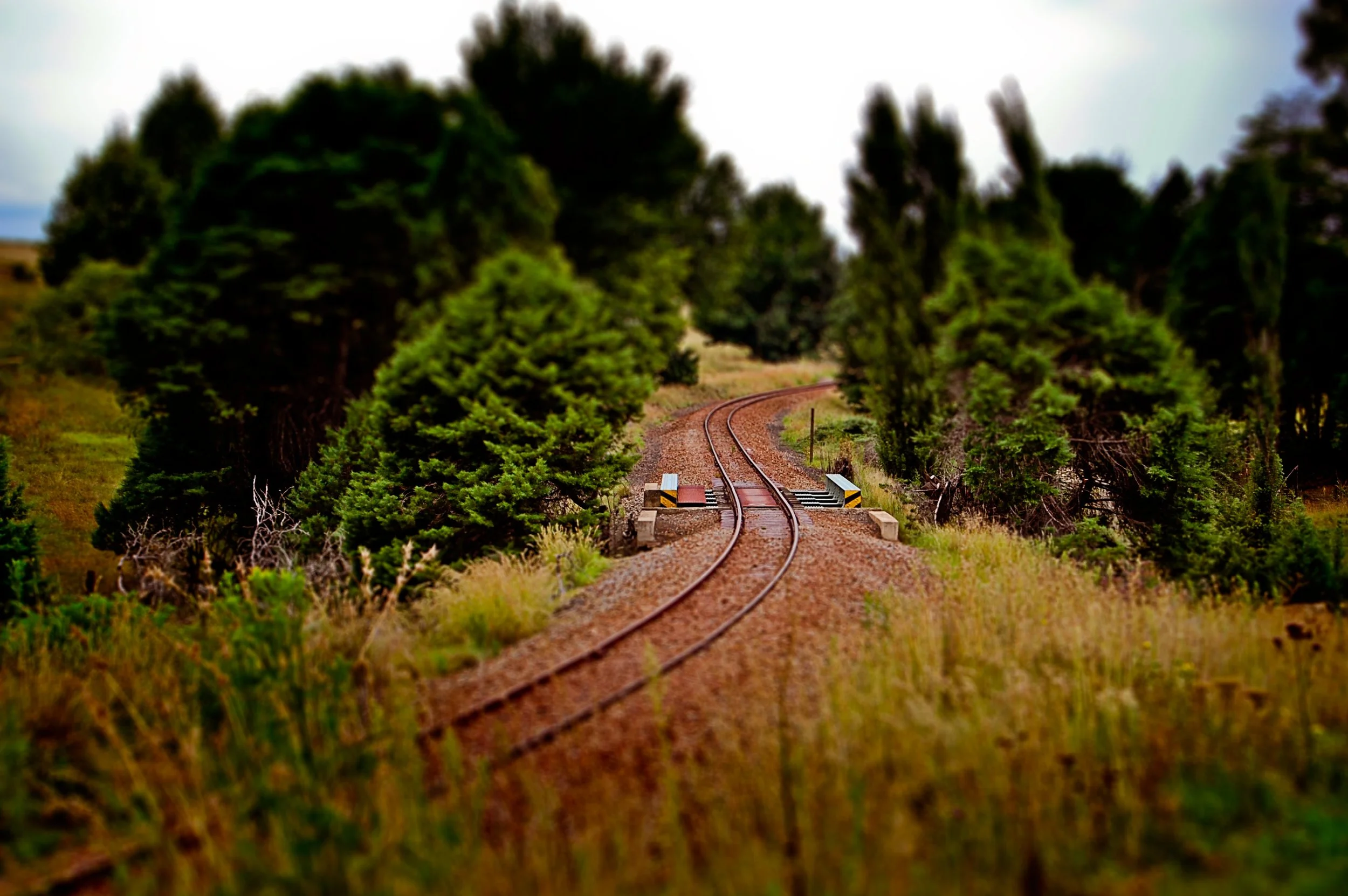A railroad track running through a forested area with trees on both sides, curving away into the distance.