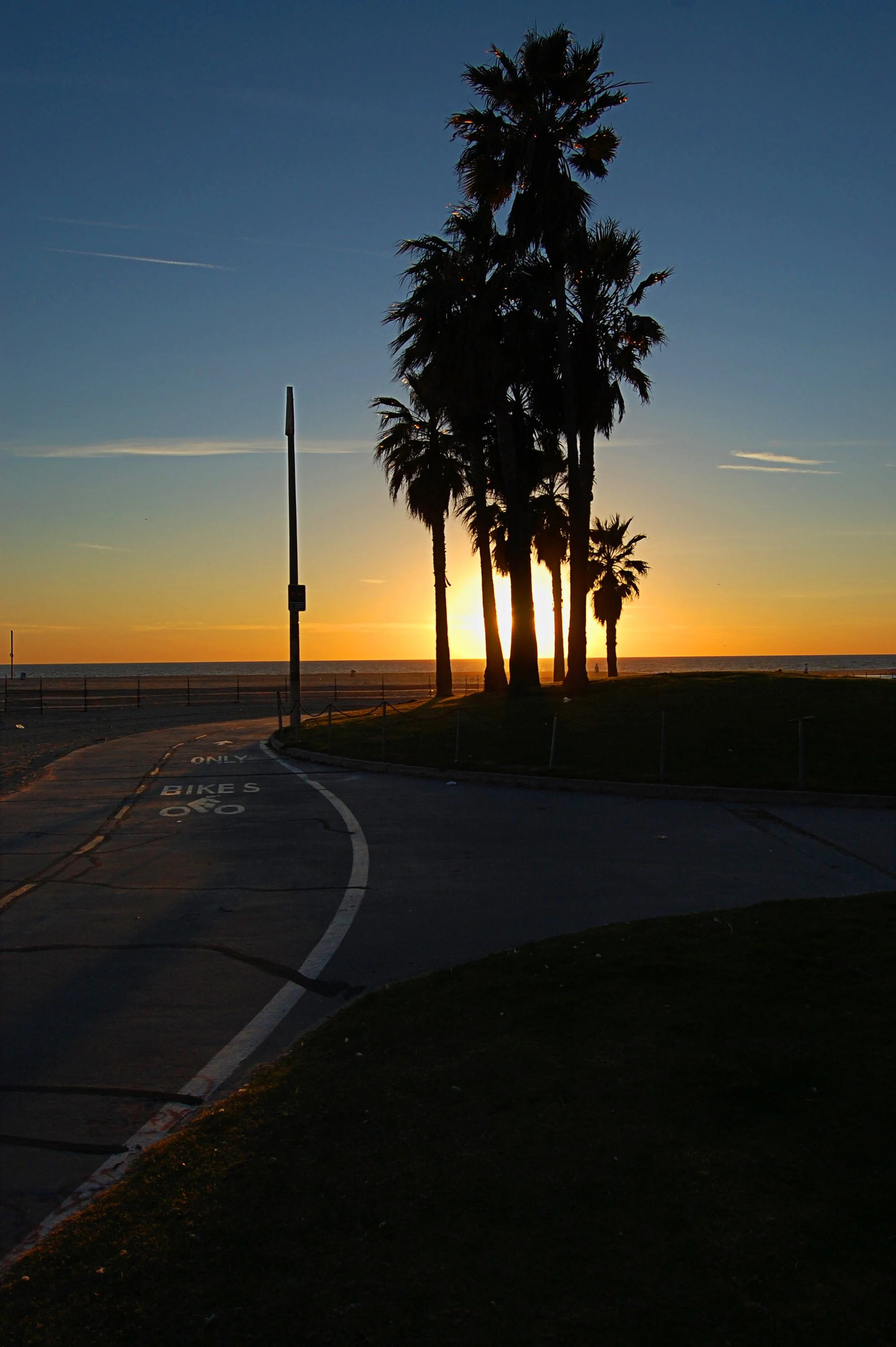 Silhouetted palm trees at sunset along a beachside road with a visible ocean horizon.