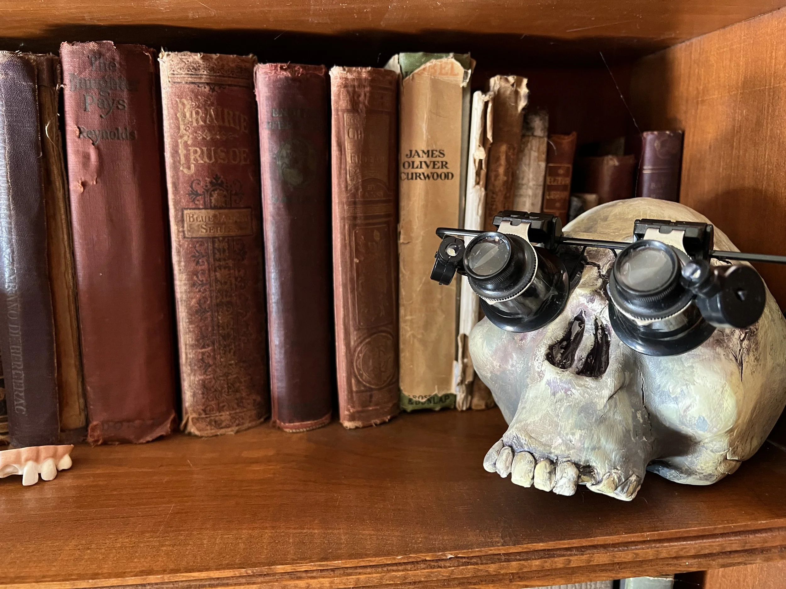 A wooden bookshelf with old, worn books, a skull, and a pair of binoculars.