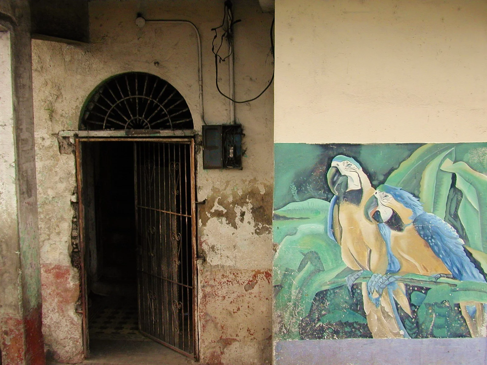 An old, weathered door with a semi-circular window and metal bars, next to a colorful mural of three toucans on a green leafy background.