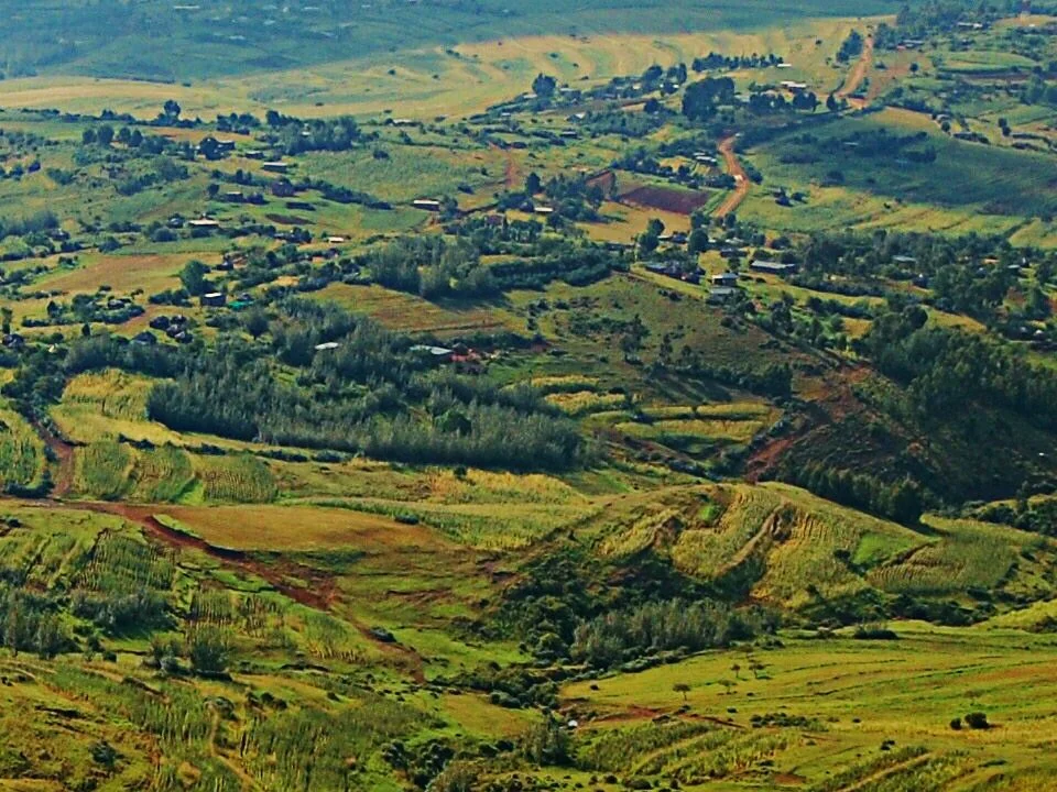 Hilly landscape with patchwork of green fields, trees, and dirt roads in a rural area.