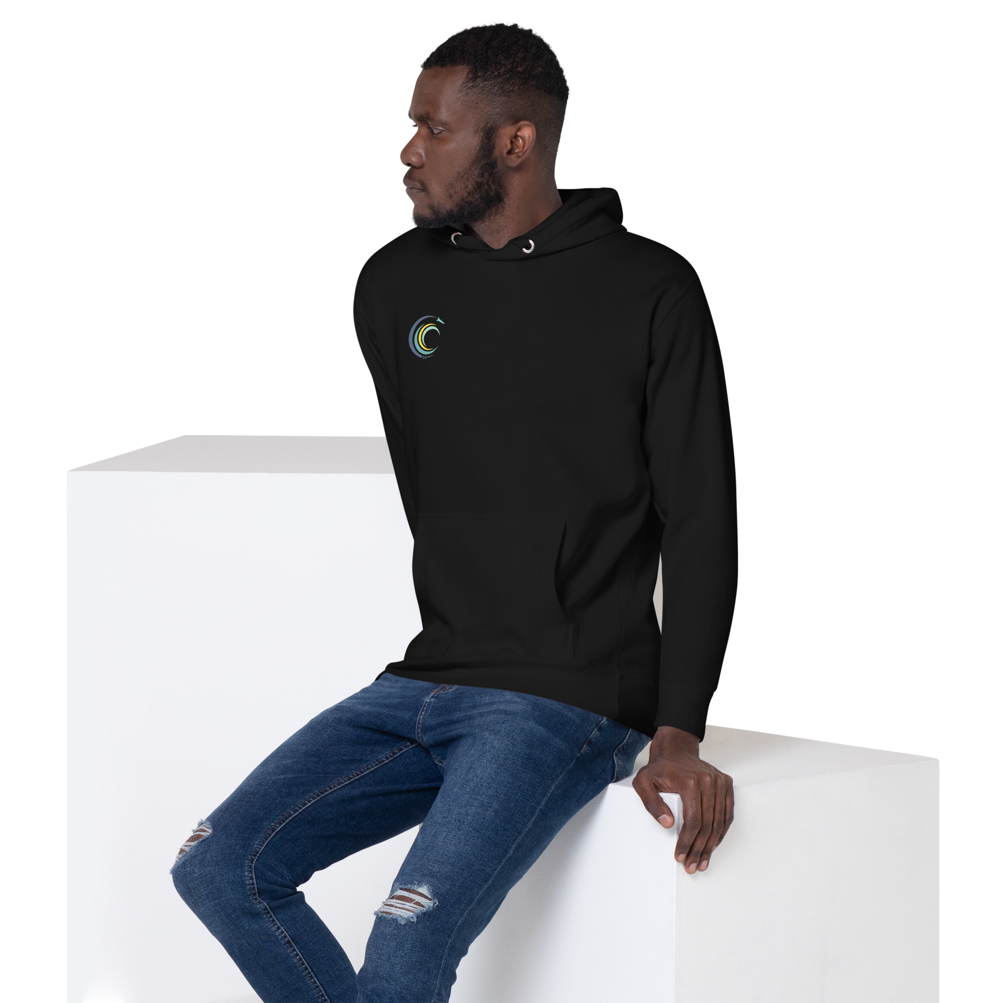 unisex-premium-hoodie-black-left-front-67ef09af39e0d.png