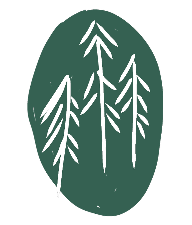 Illustration of three pine trees on a dark green oval background.