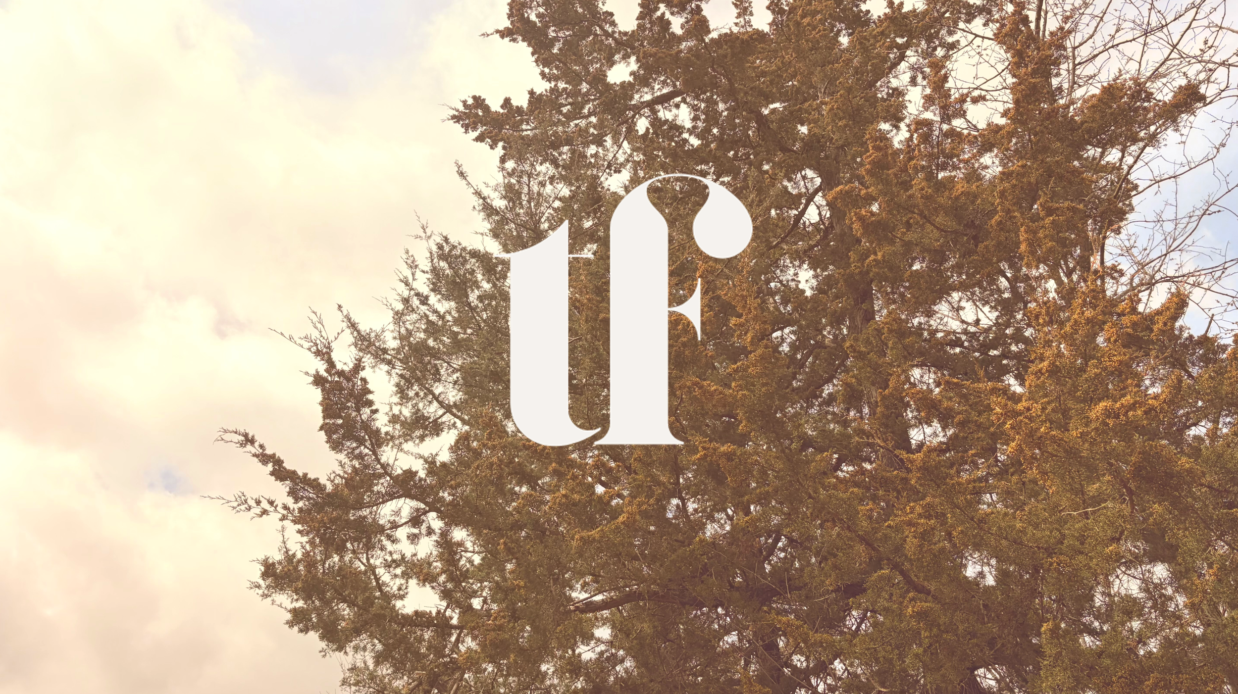 Why Strategy Fails in Times of Change — and How to Build Resilient Futures
