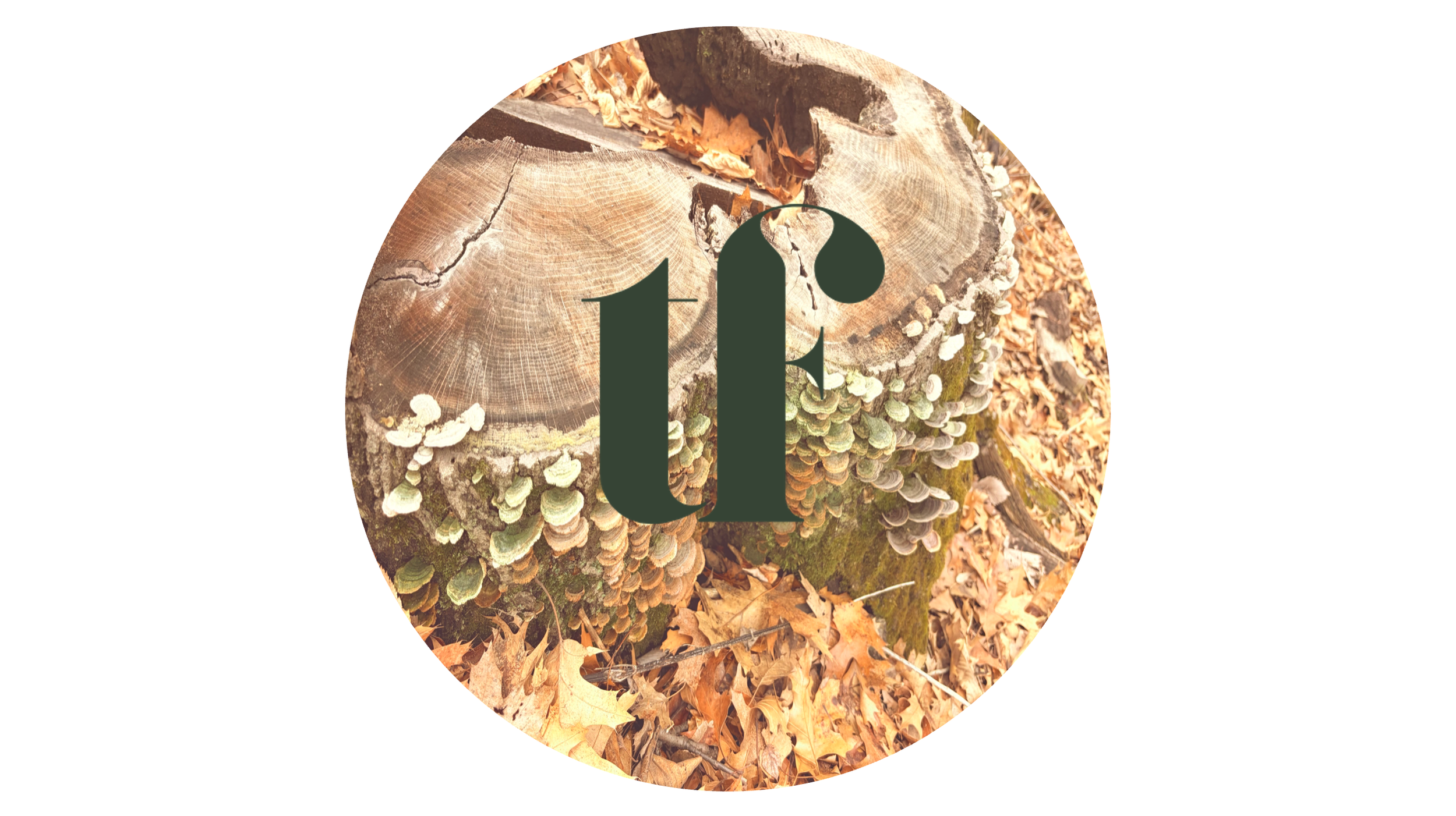 The Forest Framework for AI &amp; Human-Centered Technology