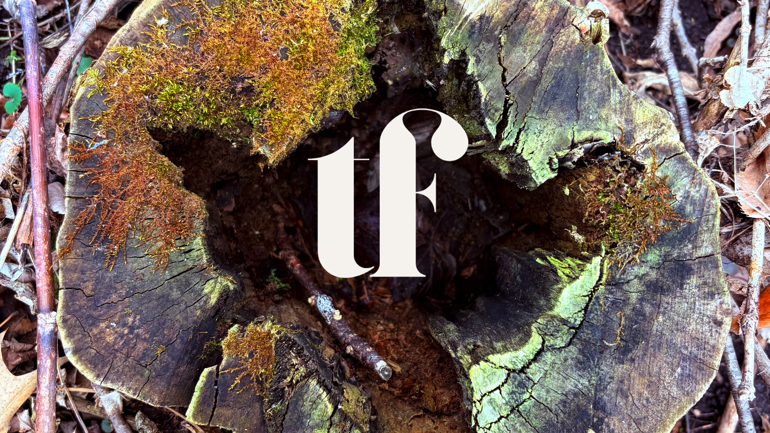 Reframing Work: How Brands Help Culture Adapt, Learn, and Evolve