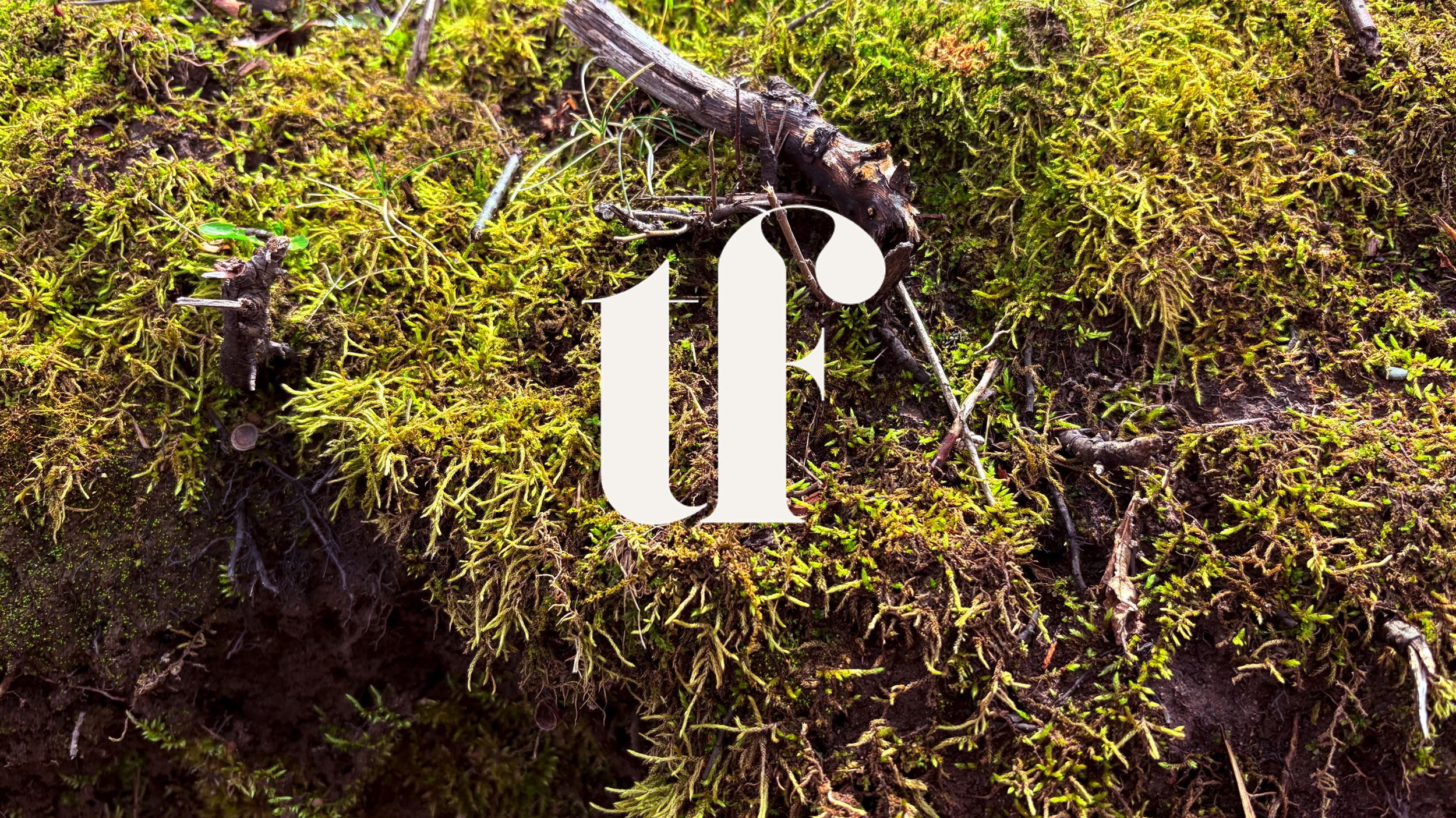 Finding Wild Ideas