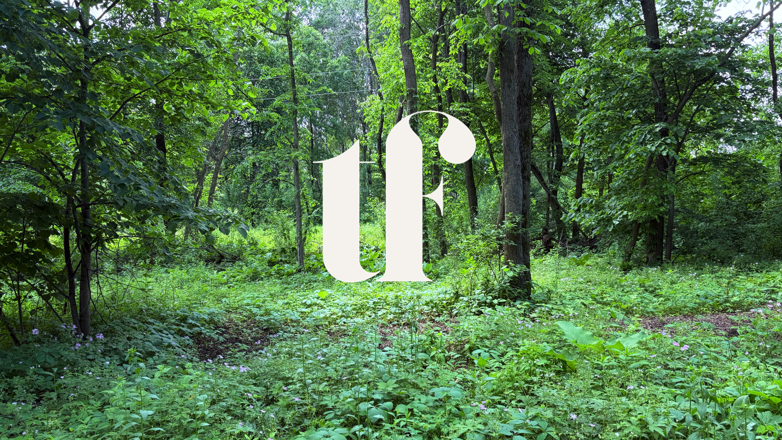 Resilience and Agility: What Thriving Organizations Understand About Change