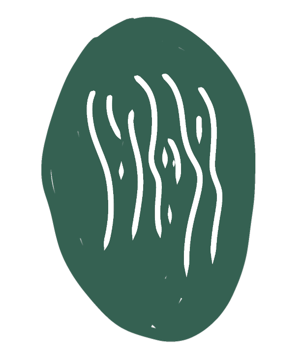 A stylized drawing of a round green object with white wavy lines inside.