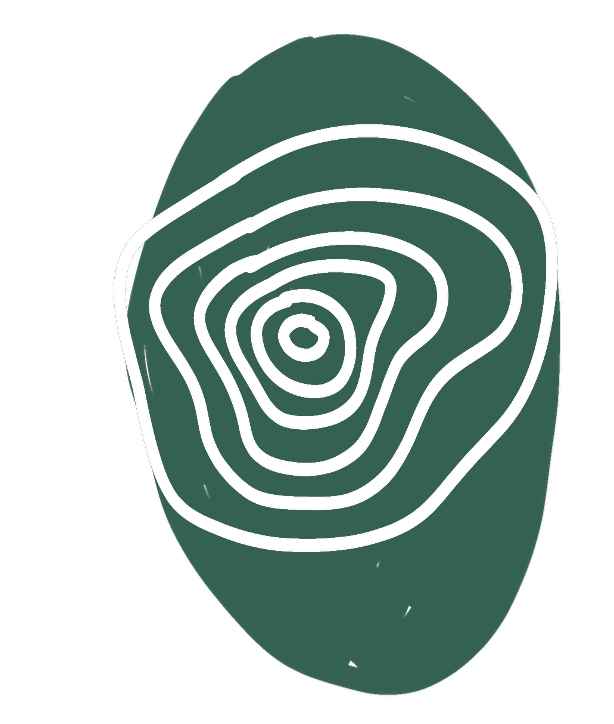 Green oval with white concentric lines resembling a topographical map or a stylized eye.