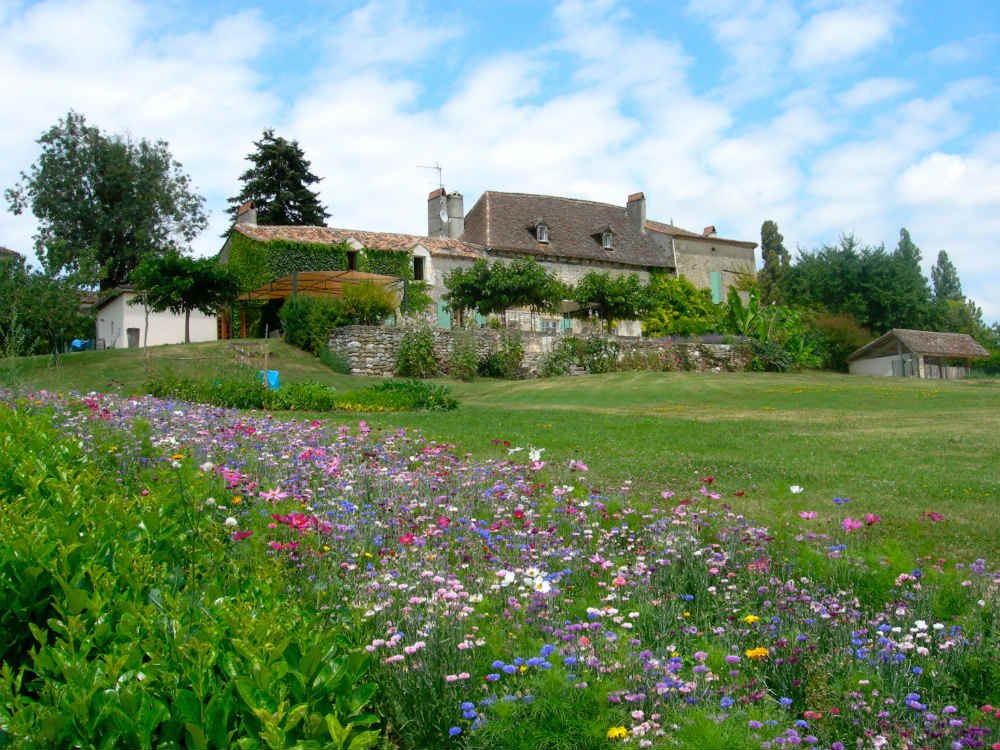 The Great Lawn