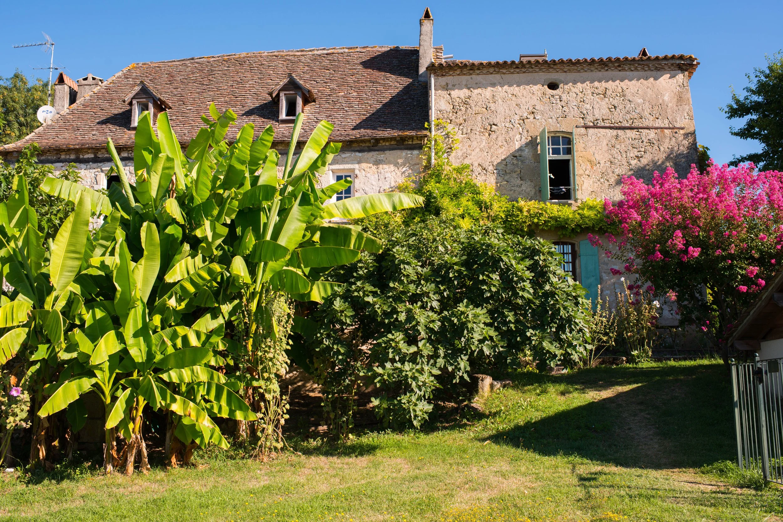 The Garden