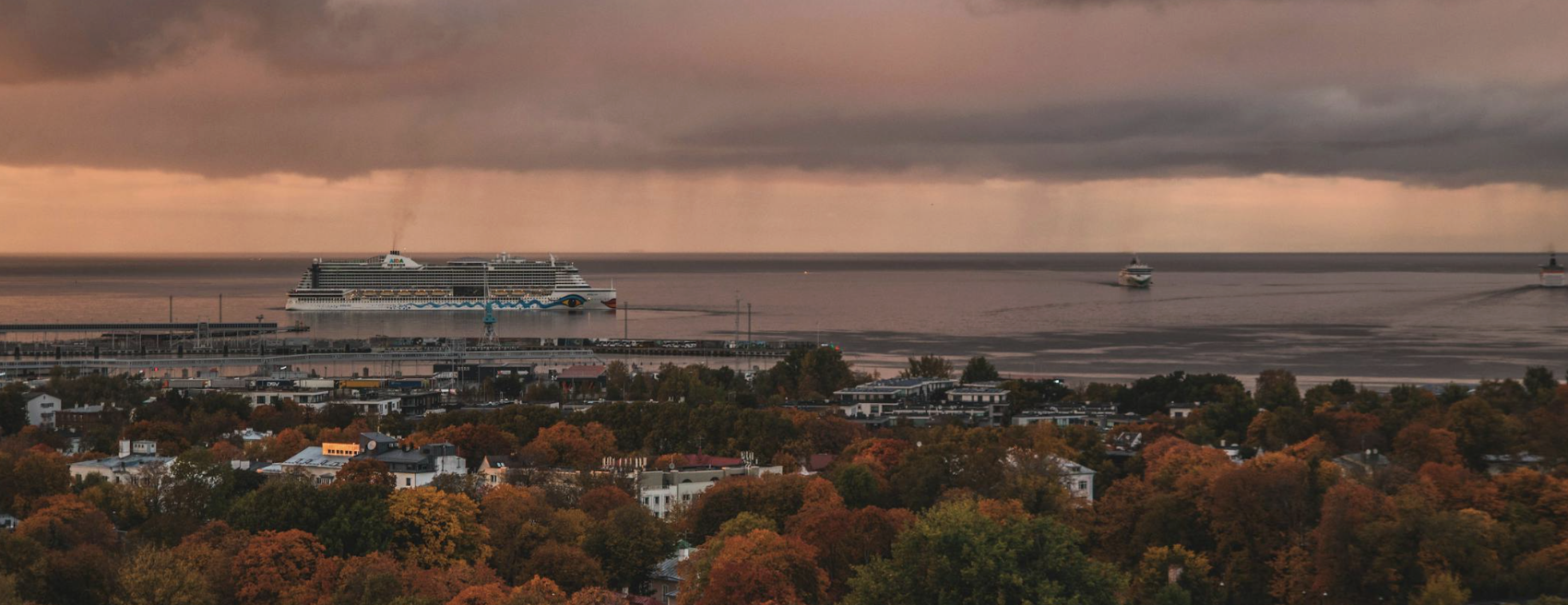 Events and Parties (03 to 09 November 2025) in Tallinn, Estonia