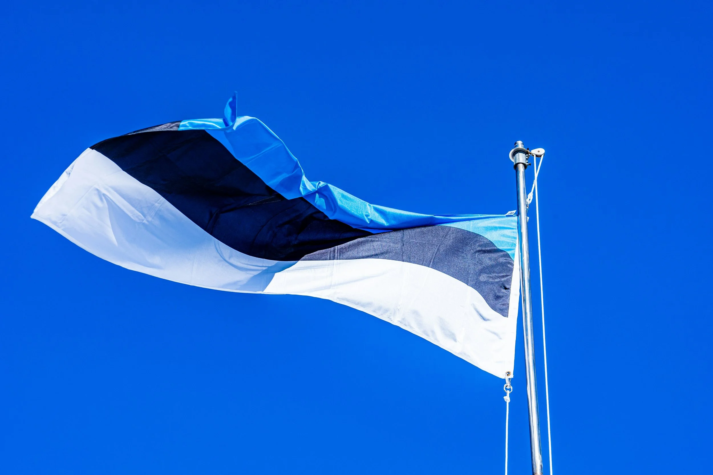 Estonian Independence Day: History, How to Celebrate