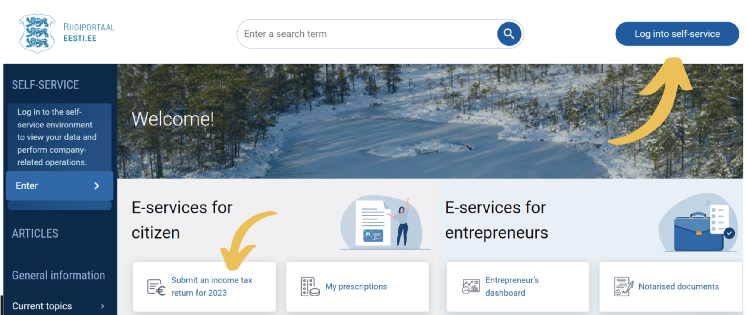 Estonian Taxes: How to Submit your Taxes in Estonia — Gamma