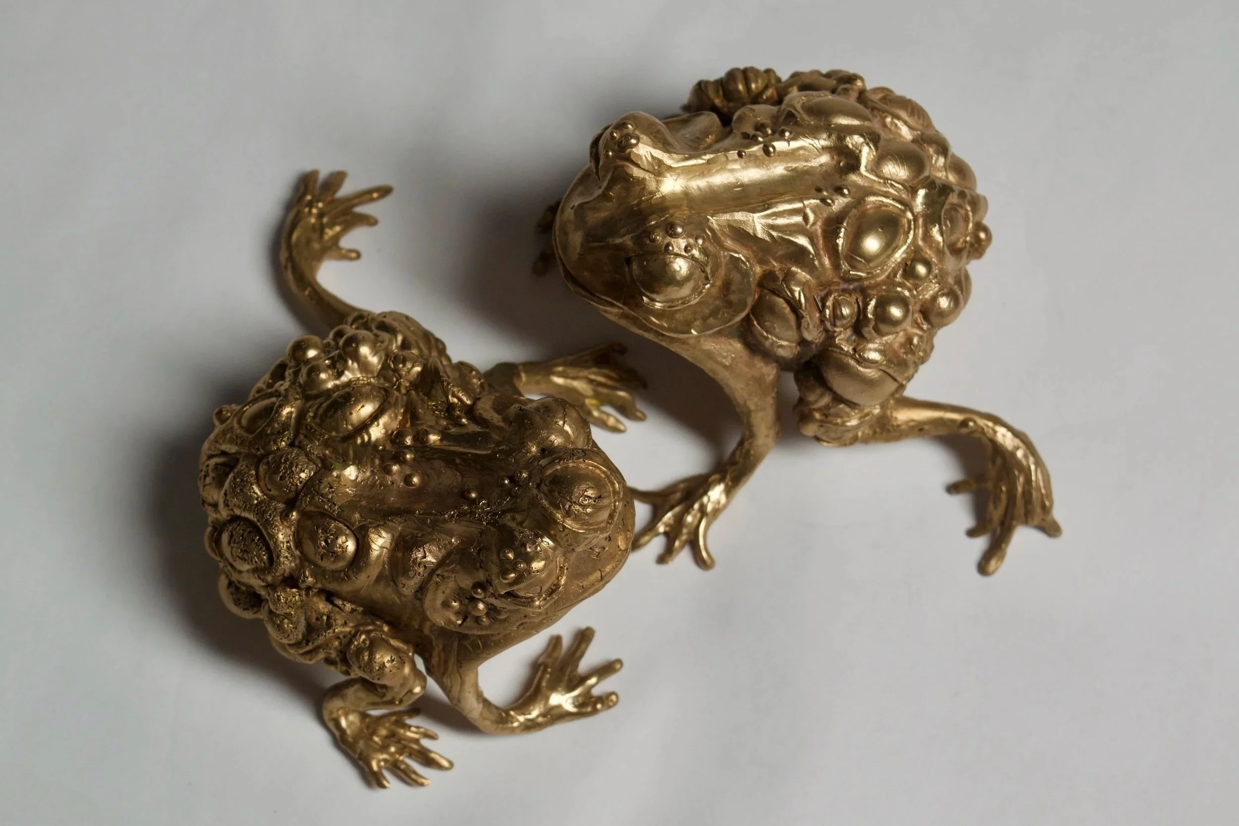Bronze Frogs