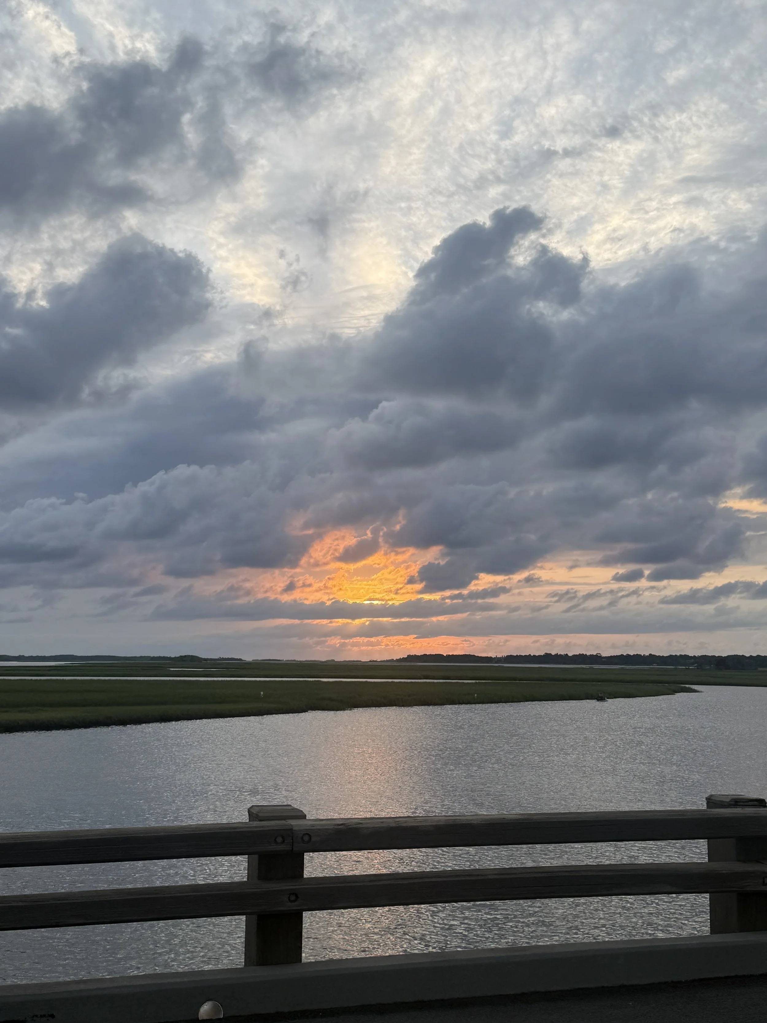 IMG_8294.jpeg